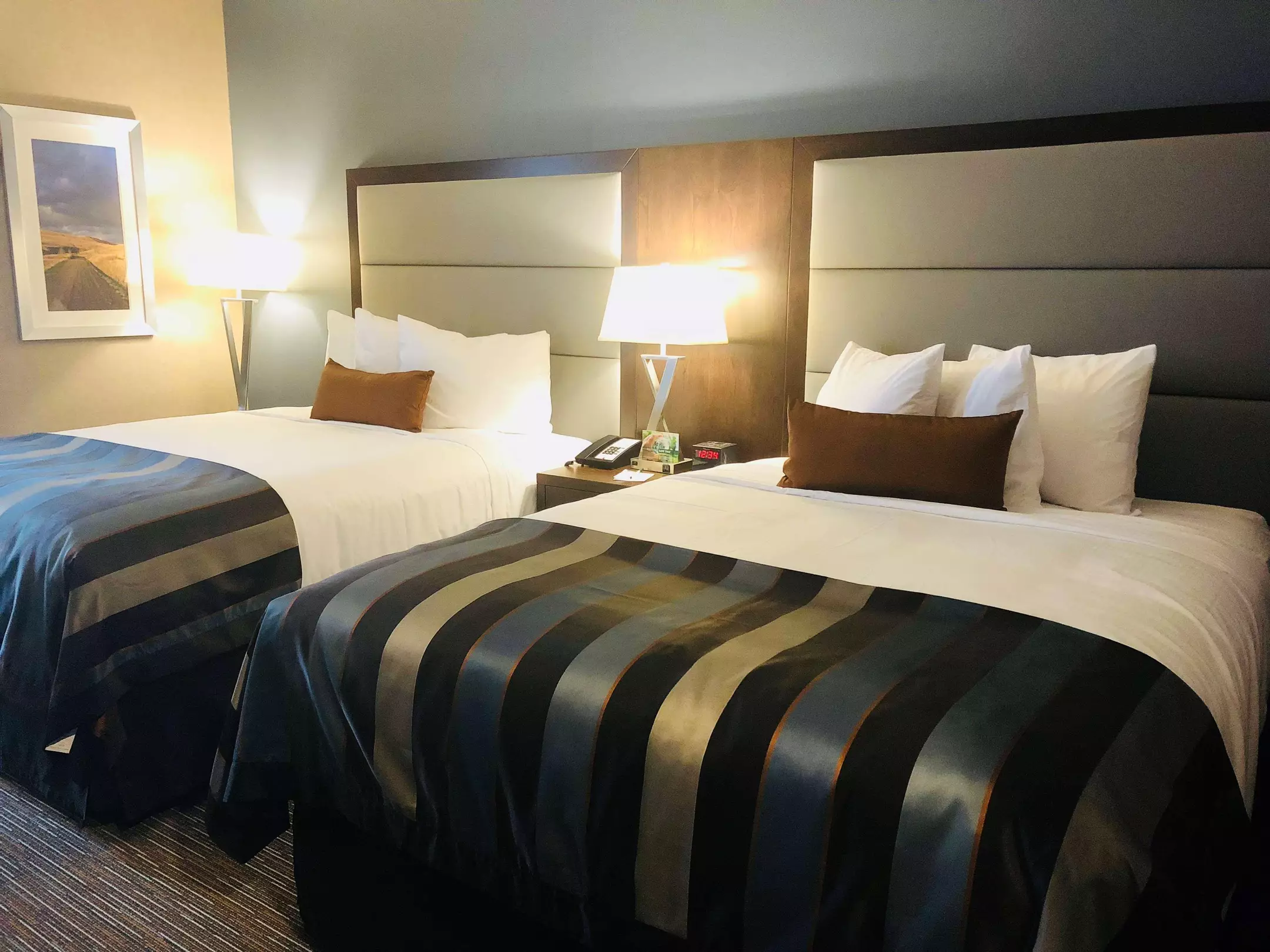 Alibaba https://cdn.alibaba.ir/ostorage/hotel-accommodation-images/6a113a6dc86edf55f72525ca_Kamloops-Wingate-by-Wyndham-Kamloops-1.webp