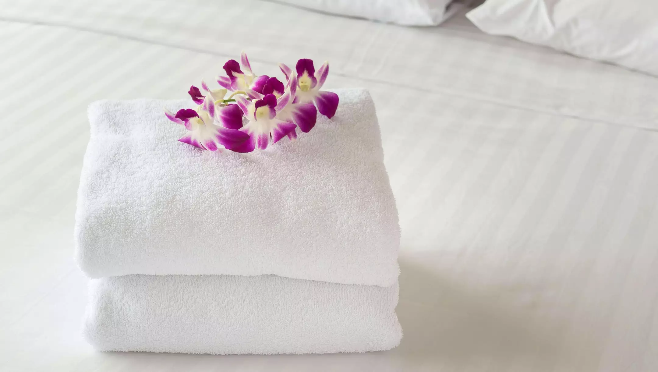 هتل Magnuson Hotel Vow Listowel