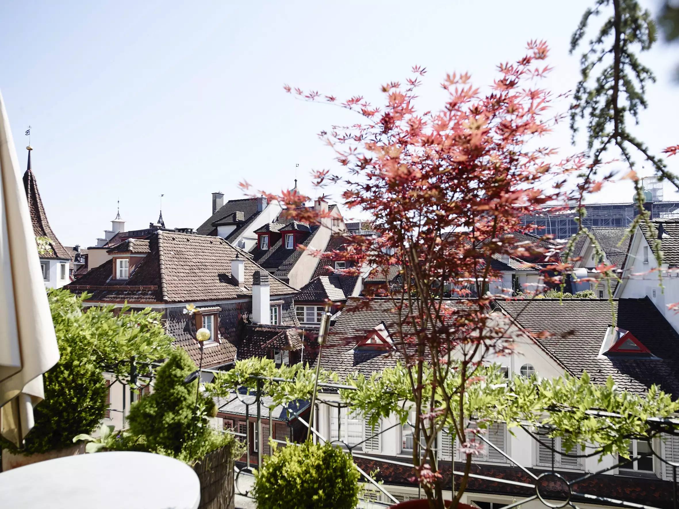 هتل Hotel Wilden Mann Lucerne