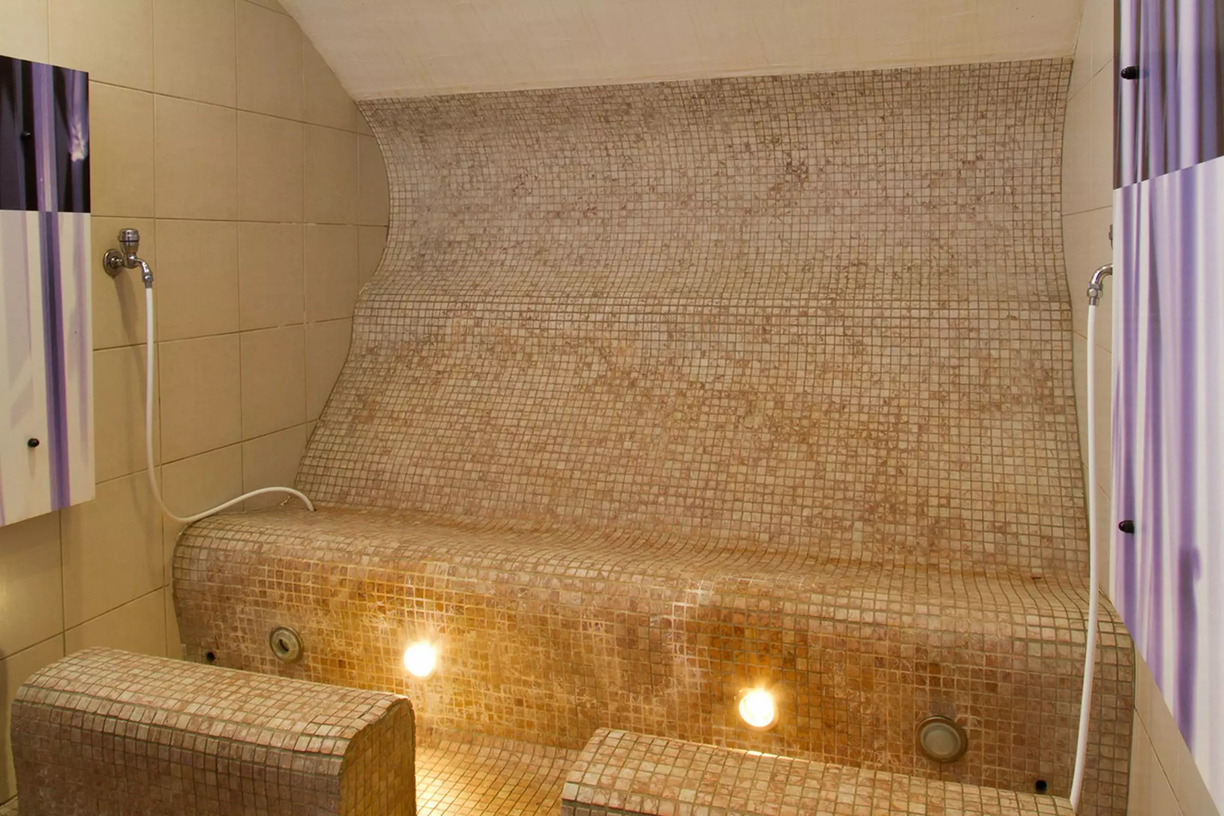 هتل Falkensteiner Hotel Maria Prag پراگ