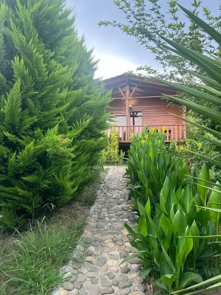 Alibaba https://cdn.alibaba.ir/ostorage/hotel-accommodation-images/6a312eb161ec039ef764bea0_e99e7bc2-bffb-4ec3-a9a2-86d69c91ed14.webp