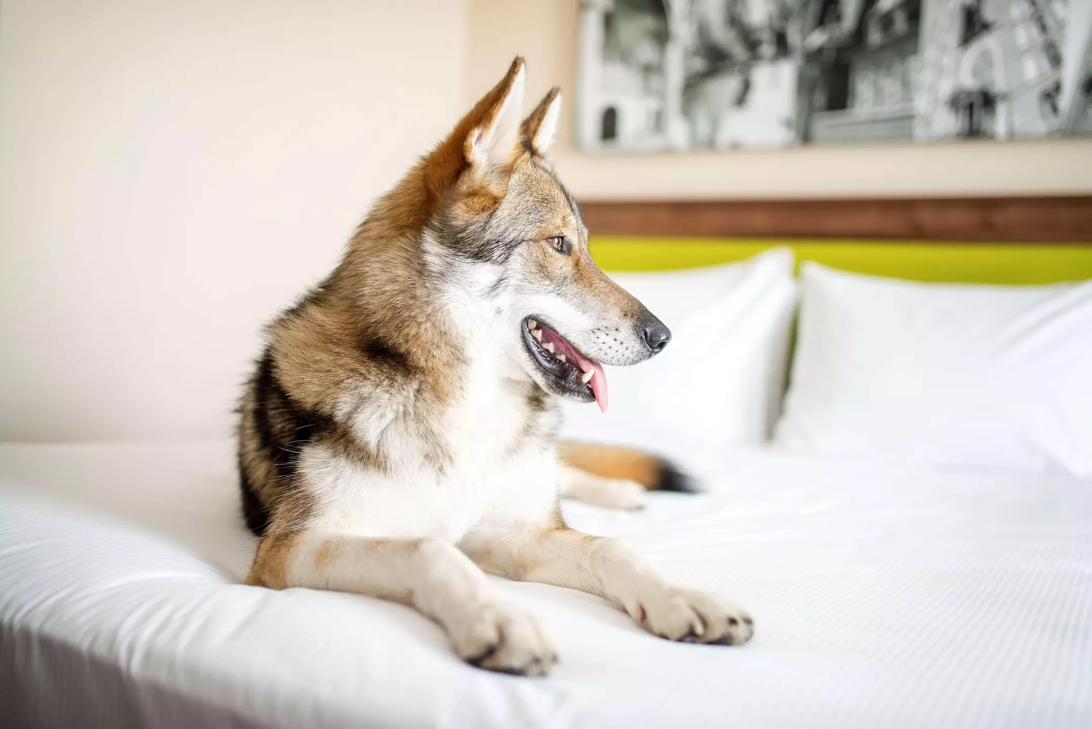 هتل Hampton by Hilton Krakow کراکو