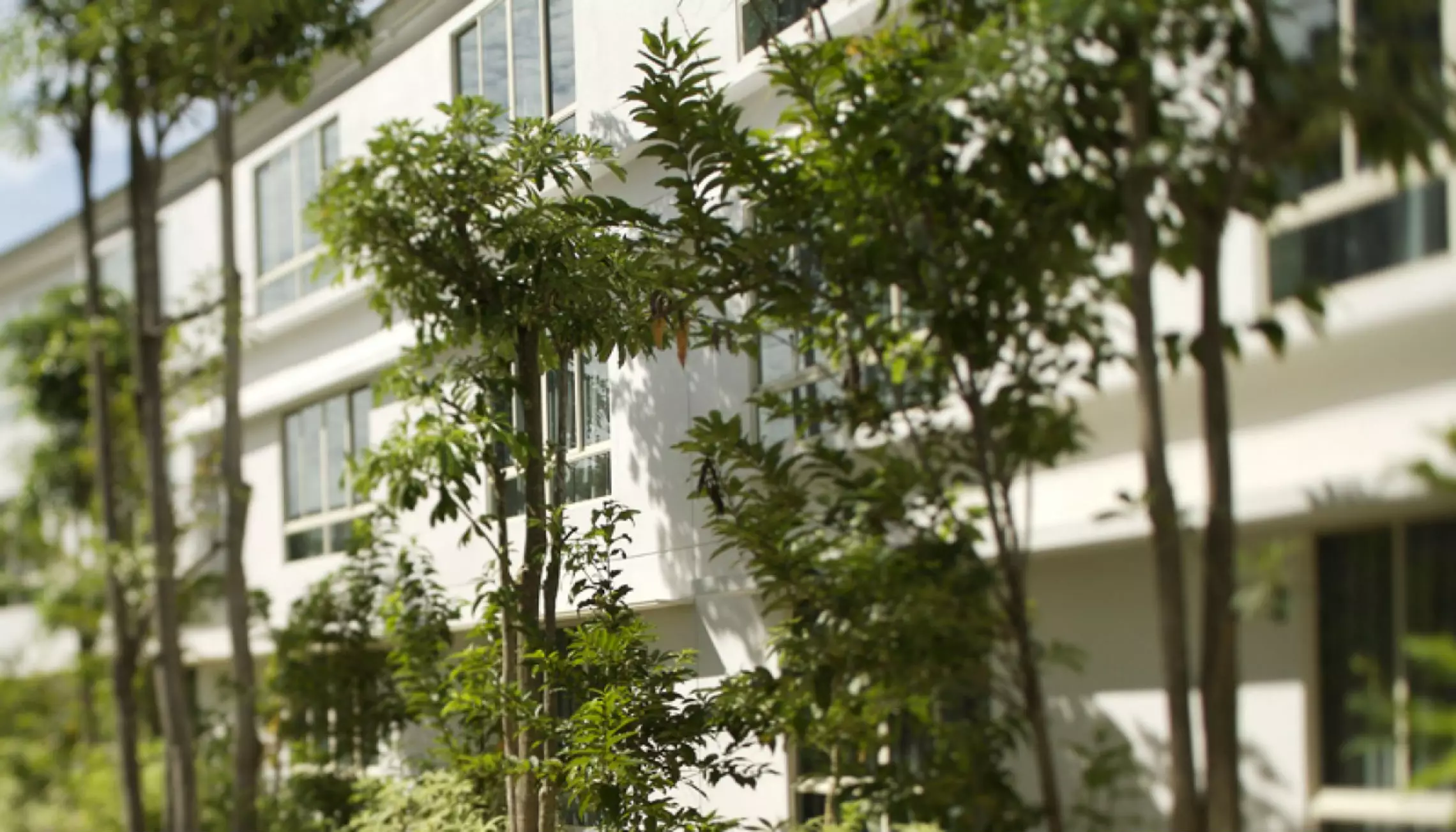 هتل Amara Sanctuary Resort Sentosa سنتوزا