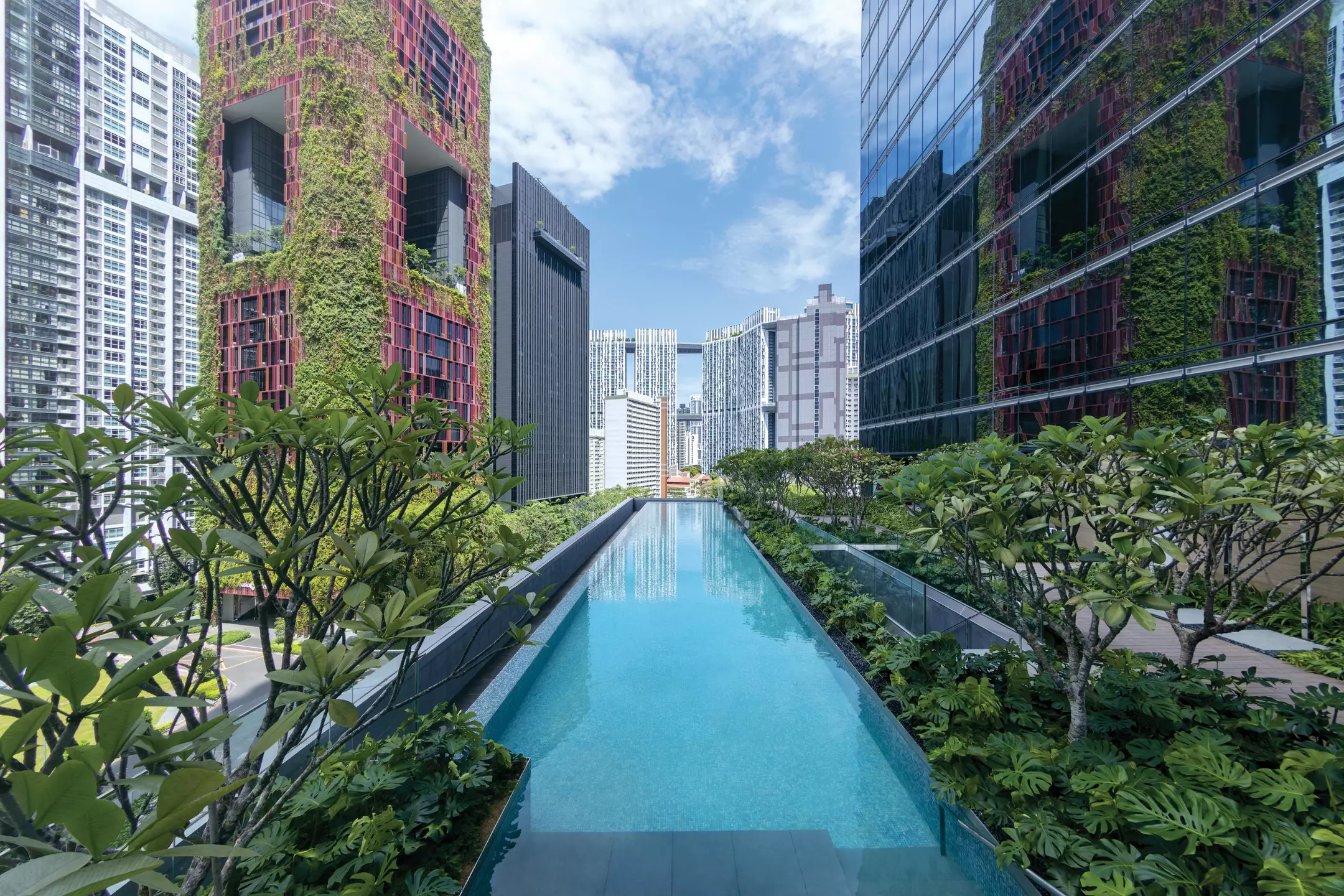 Alibaba https://cdn.alibaba.ir/ostorage/hotel-accommodation-images/6a3df35feeea5593494861c6_Singapore-Sofitel-Singapore-City-Centre-0.webp