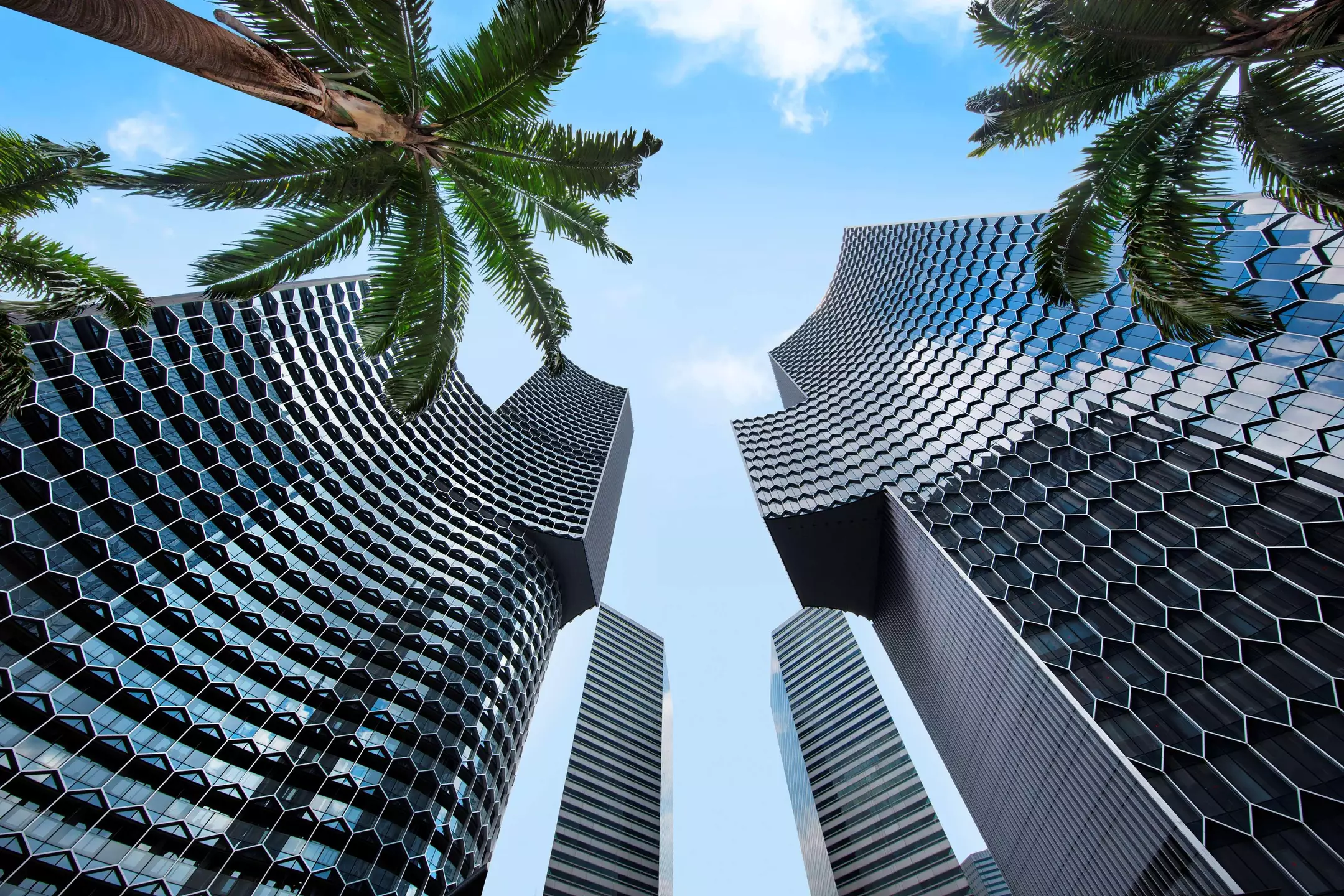 Alibaba https://cdn.alibaba.ir/ostorage/hotel-accommodation-images/6a3df4ceeeea5593494862ad_Singapore-Andaz-Singapore-0.webp