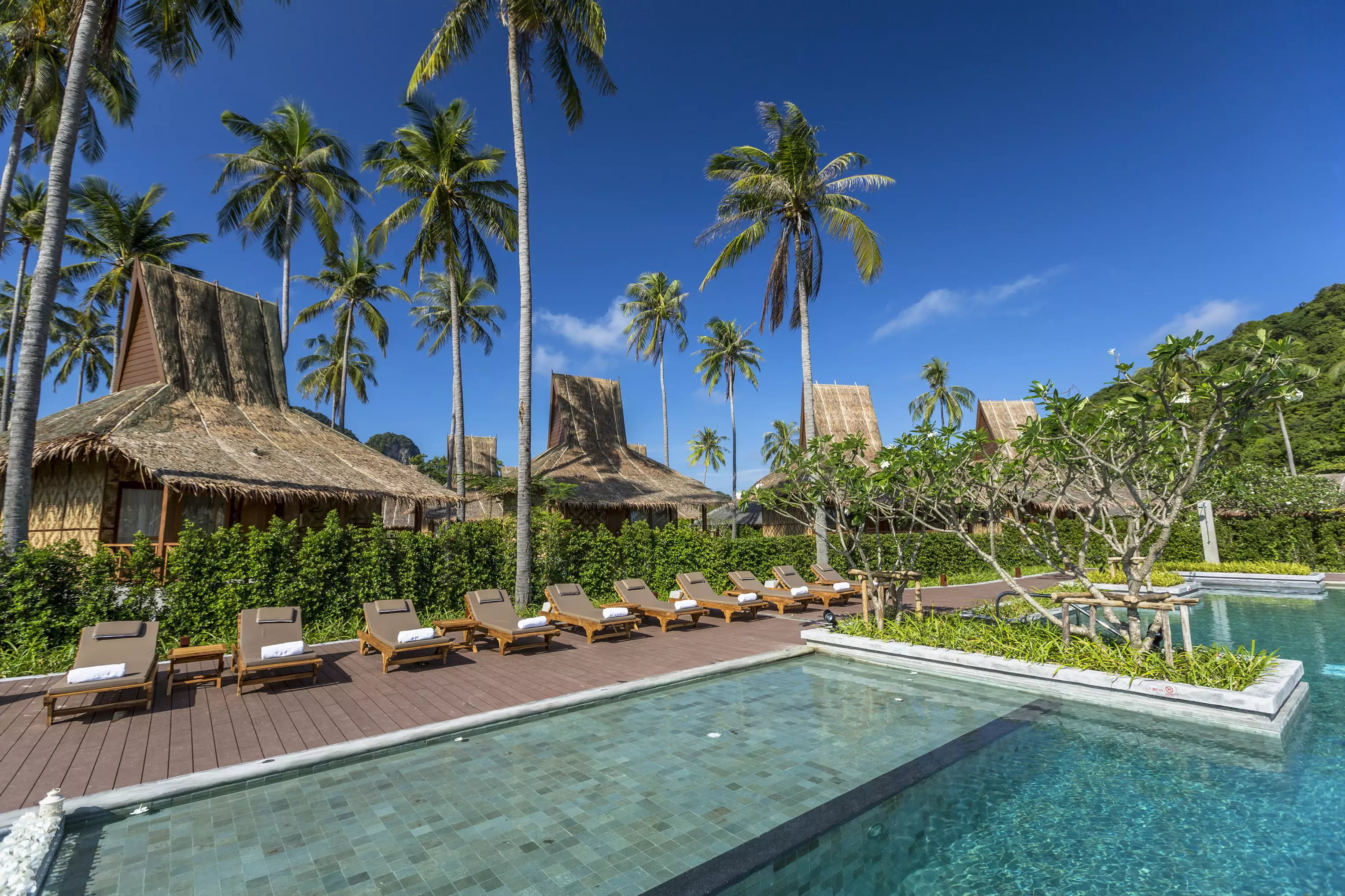 Alibaba https://cdn.alibaba.ir/ostorage/hotel-accommodation-images/6a3e0c2ceeea5593494873c8_Phi-Phi-Island--Ko-Pee-Pee-SAii-Phi-Phi-Island-Village-0.webp