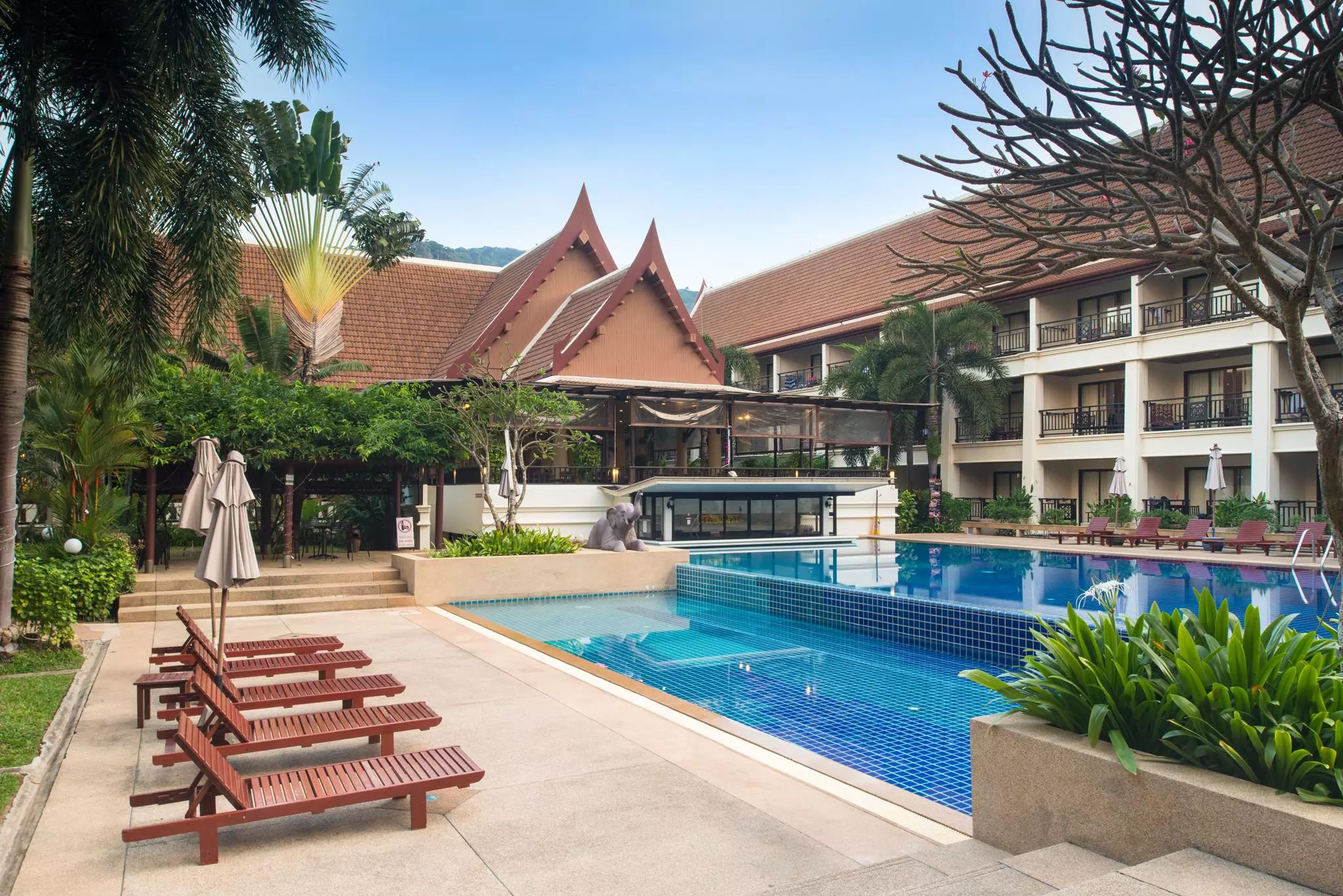 Alibaba https://cdn.alibaba.ir/ostorage/hotel-accommodation-images/6a3e0cd5eeea559349487463_Patong-Deevana-Patong-Resort--Spa-0.webp