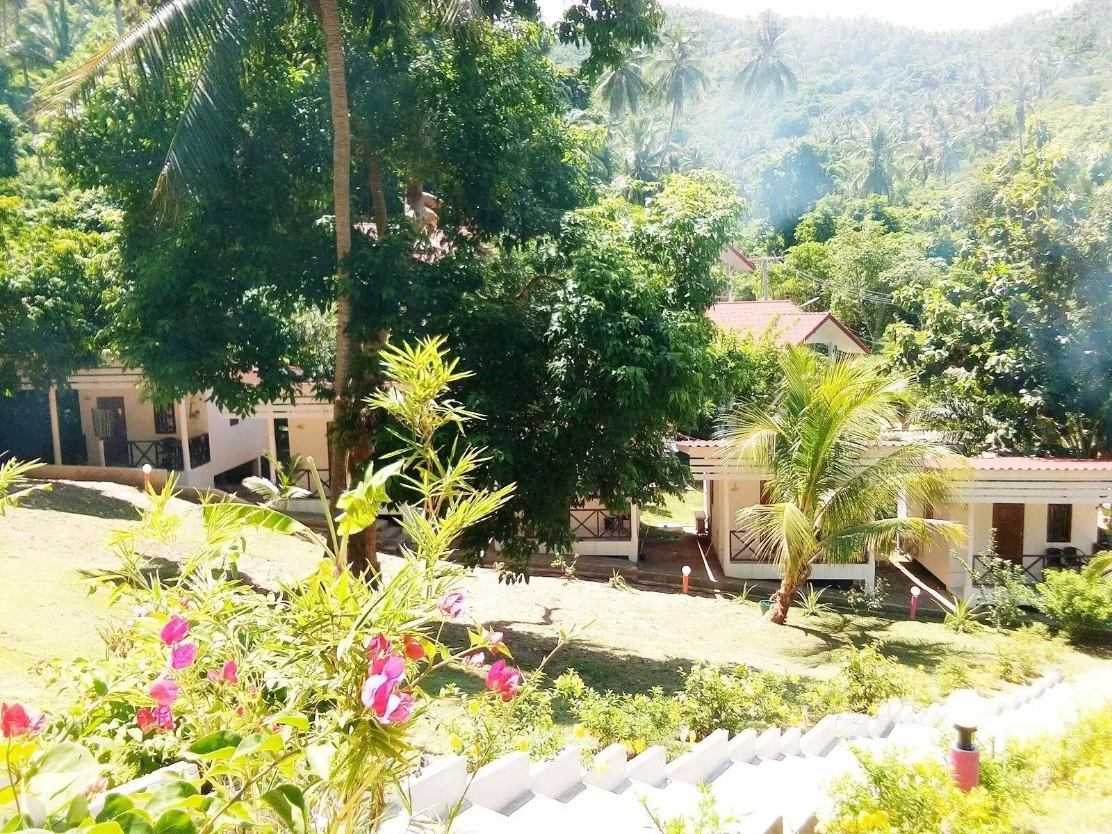 Alibaba https://cdn.alibaba.ir/ostorage/hotel-accommodation-images/6a3f3183eeea559349495cf1_Koh-Samui-Mali-Samui-Resort-0.webp