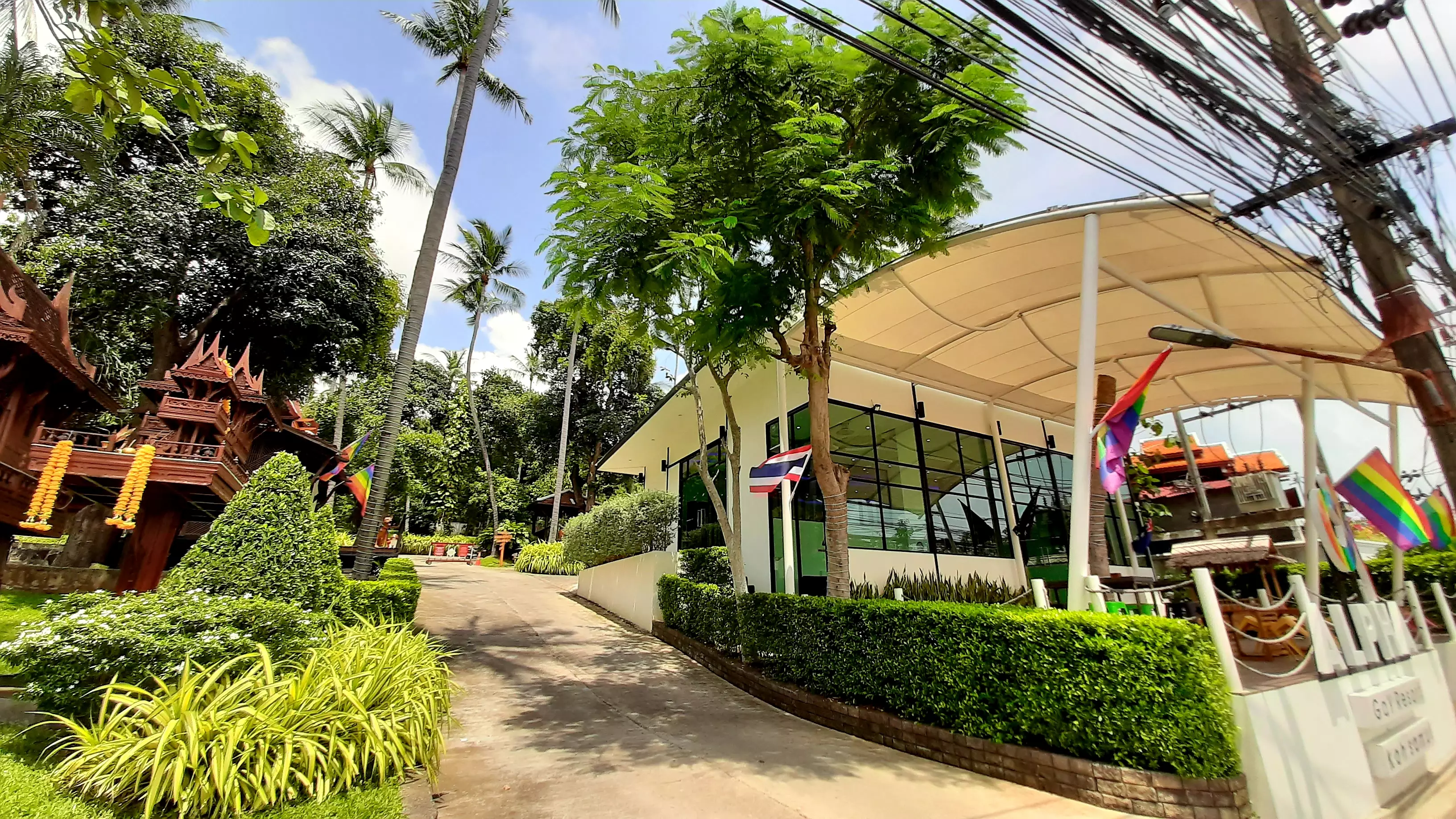 Alibaba https://cdn.alibaba.ir/ostorage/hotel-accommodation-images/6a3ff390eeea55934949f864_Koh-Samui-Alpha-Gay-Resort--Spa-0.webp