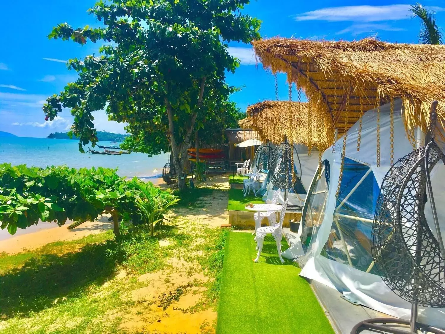 Alibaba https://cdn.alibaba.ir/ostorage/hotel-accommodation-images/6a3fffe7eeea5593494a02a5_Phuket-Sea-Safari-0.webp