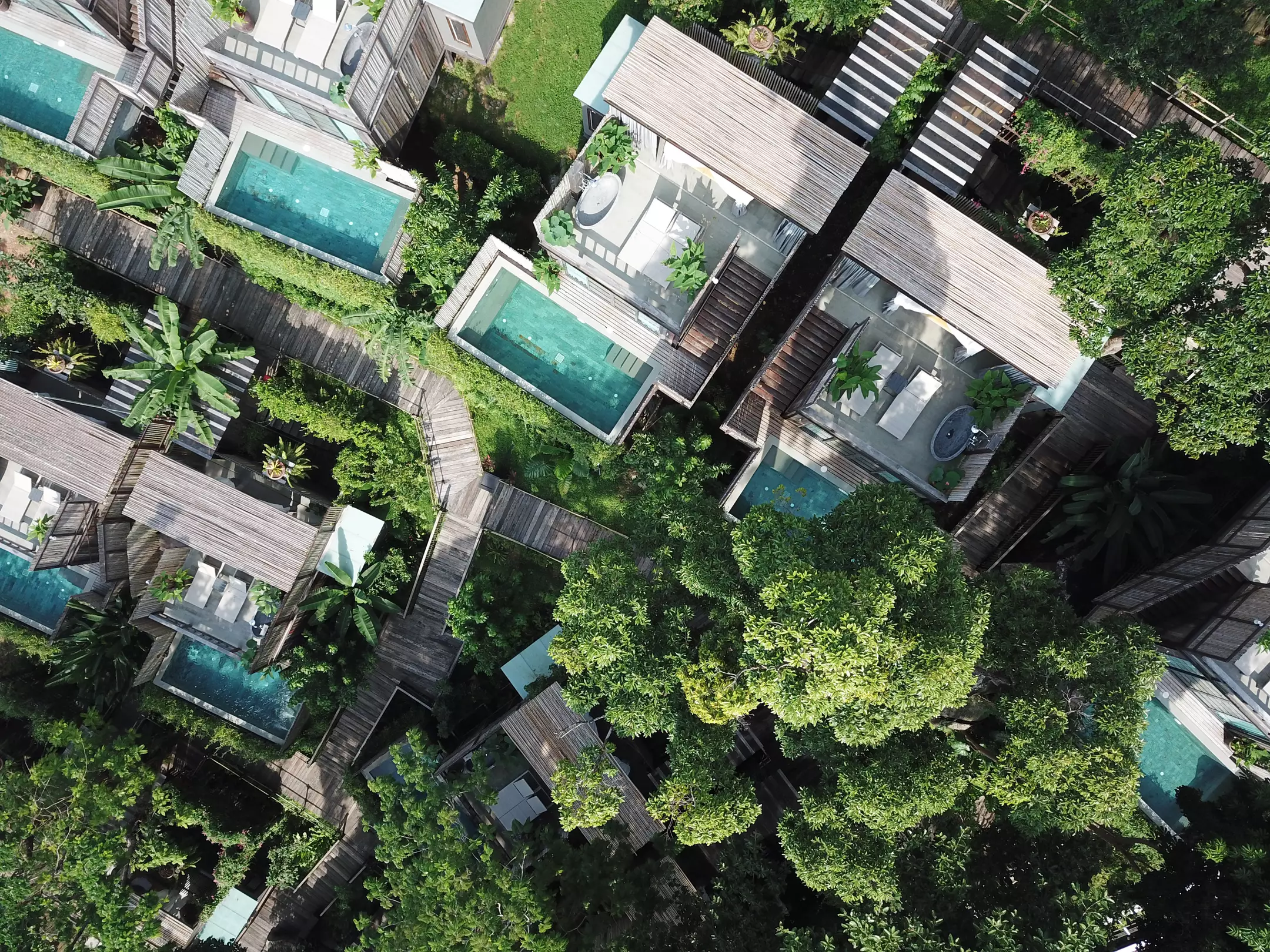 Alibaba https://cdn.alibaba.ir/ostorage/hotel-accommodation-images/6a400831eeea5593494a0997_Patong-Dinso-Resort-0.webp