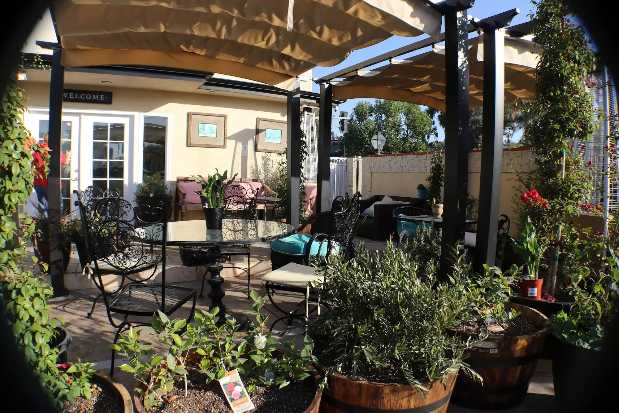 هتل Seacliff Laguna Inn Laguna Beach