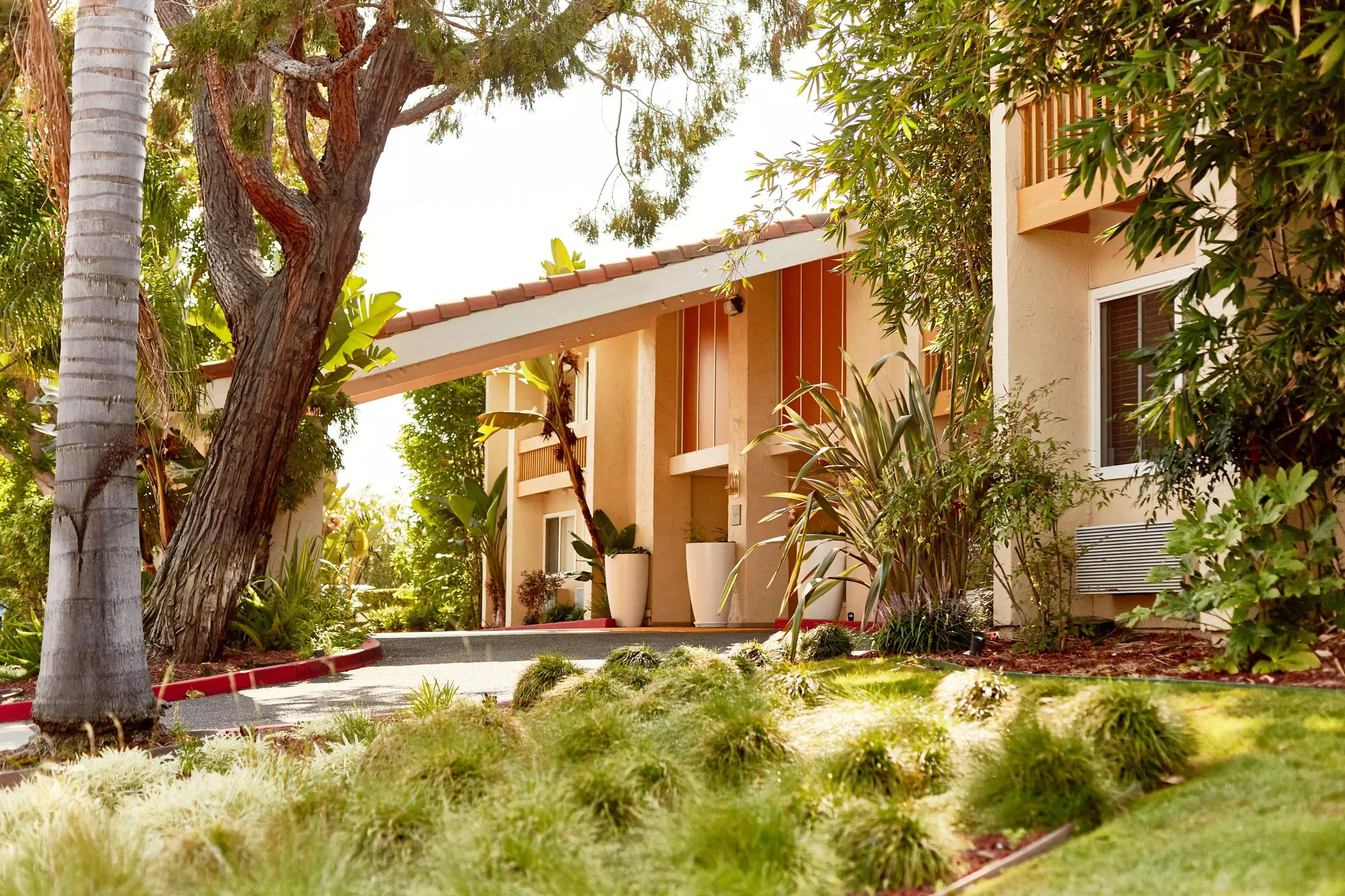 Alibaba https://cdn.alibaba.ir/ostorage/hotel-accommodation-images/6a5ed233ece37da9b7dbed11_Sunnyvale-Wild-Palms-0.webp