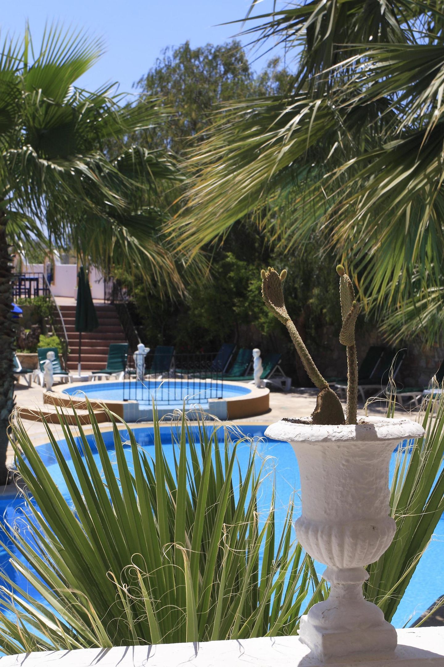 هتل La Rosa Hotel Gumbet