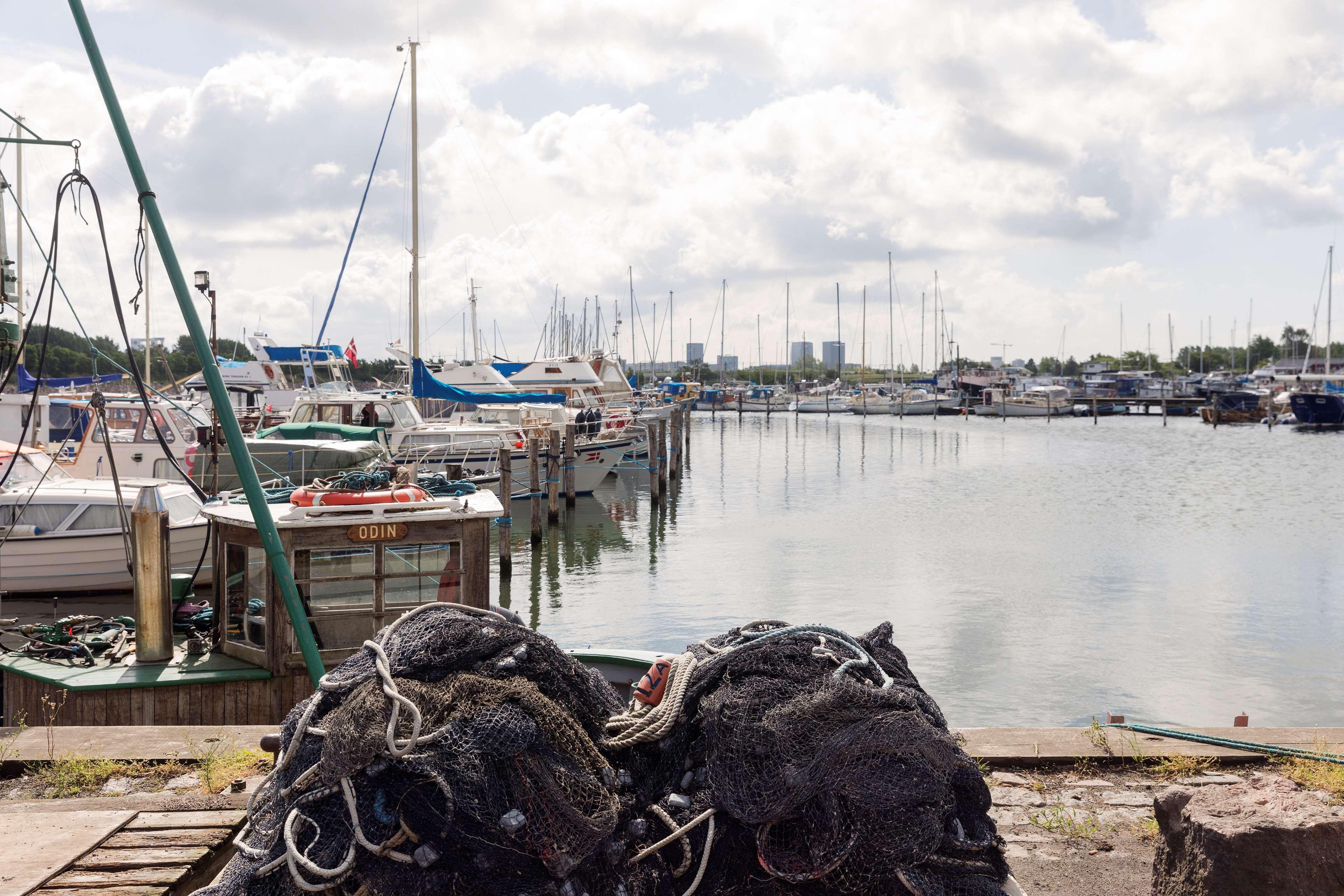 Alibaba https://cdn.alibaba.ir/ostorage/hotel/images/10316504/31DEE0E220506370E1EF860AF36DAEFD.jpg