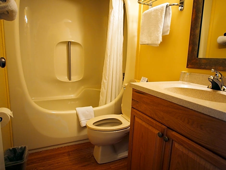 Alibaba https://cdn.alibaba.ir/ostorage/hotel/images/13DD96E3/B39FF81E3A1A9389BB1F2200BD7DEE19.jpg