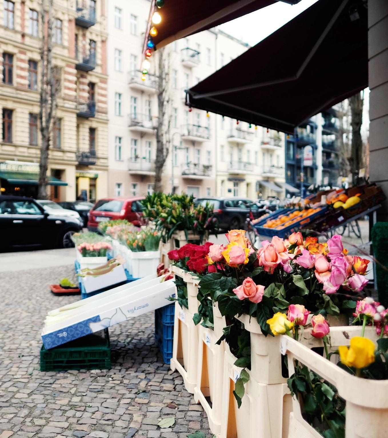 هتل هاستل ففربت برلین