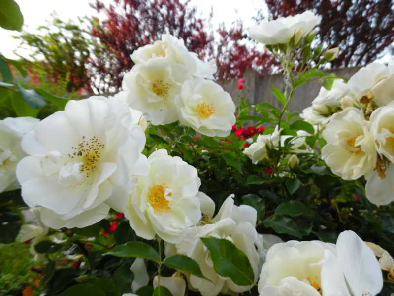 Alibaba https://cdn.alibaba.ir/ostorage/hotel/images/17D5D790/D936AD60CDDF2D8FACEF5D19864C4661.jpg