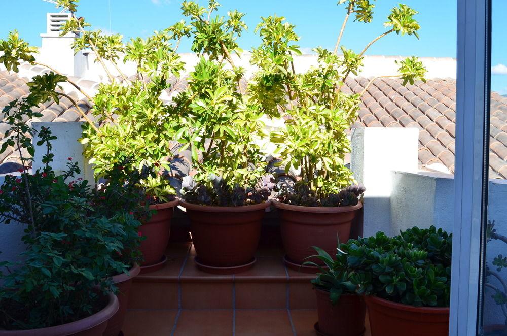 Alibaba https://cdn.alibaba.ir/ostorage/hotel/images/1D836F09/DA9D773F3752AEA912CBF0B45C1A001A.jpg