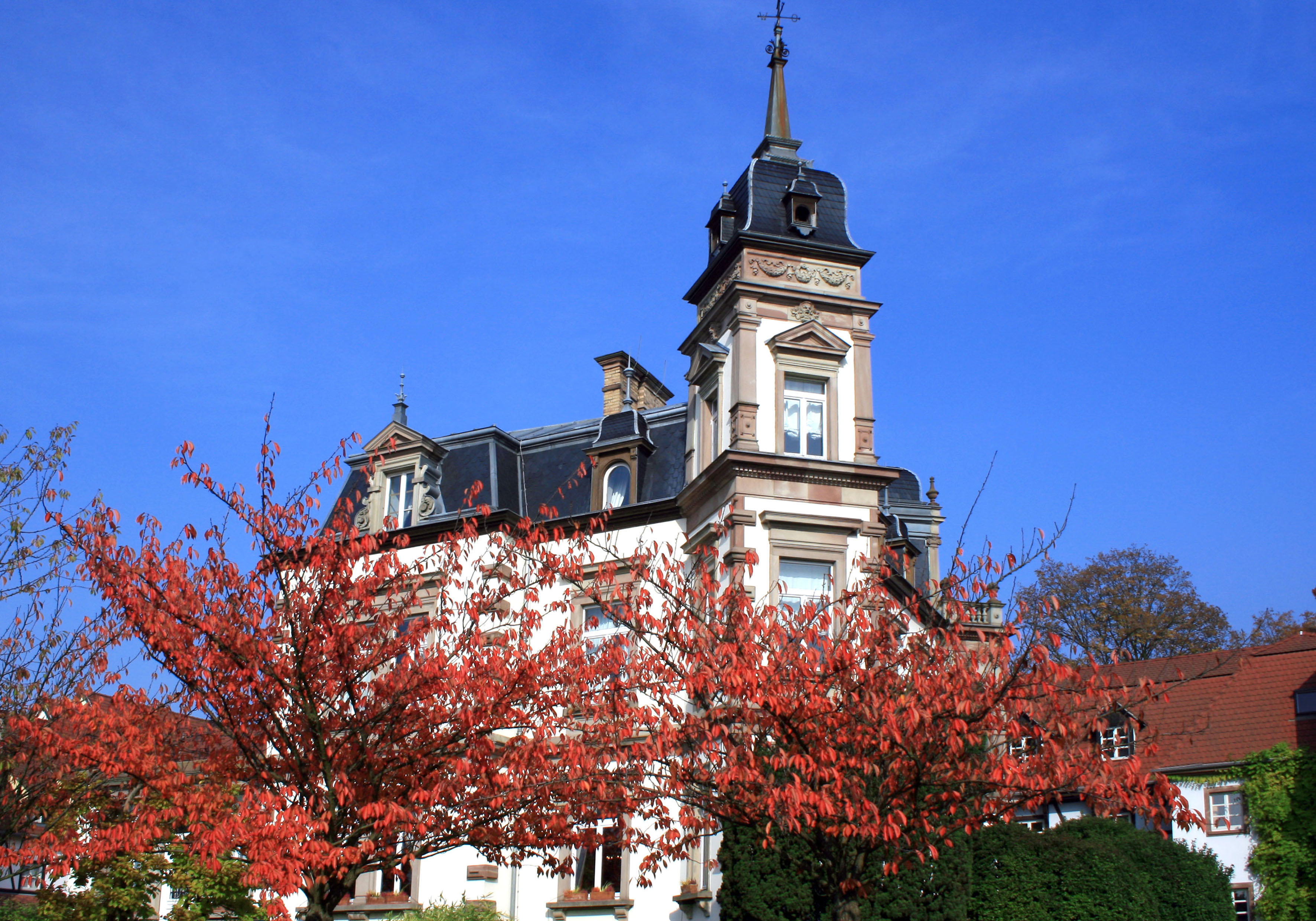 Alibaba https://cdn.alibaba.ir/ostorage/hotel/images/23866881/94DAEBD85D36535C31CE3229253022FD.jpg