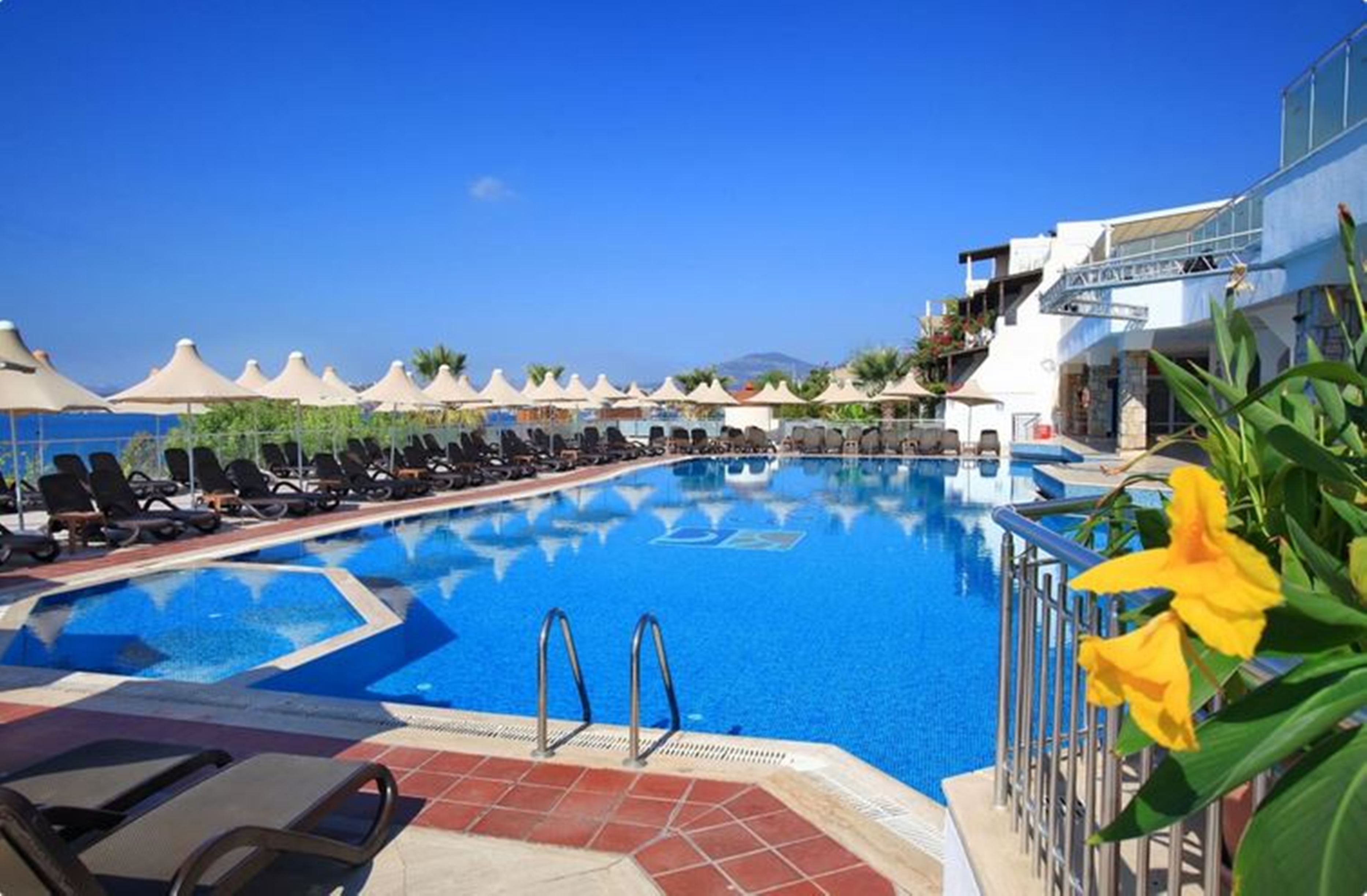 هتل Forever Club بدروم