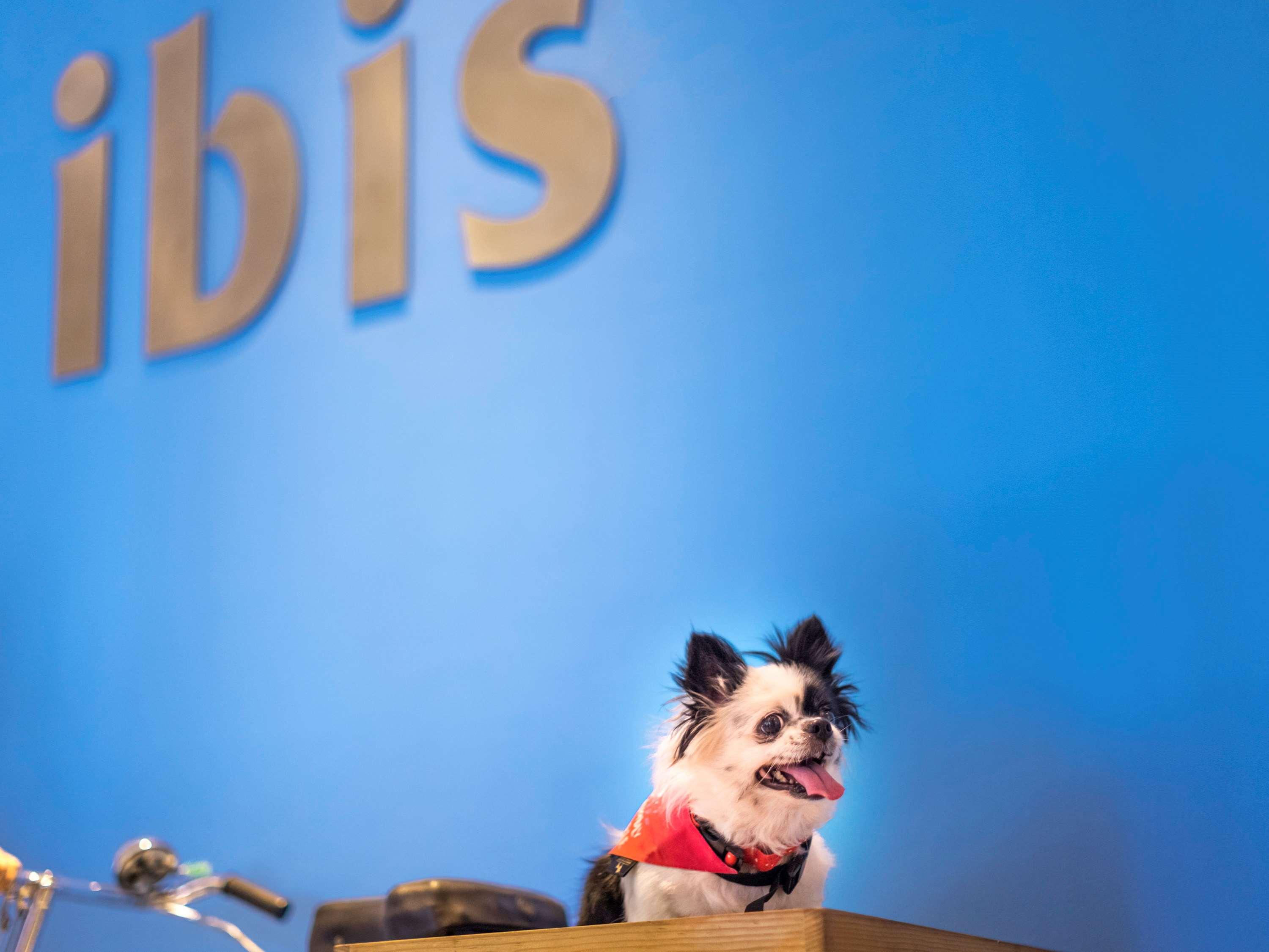 هتل Hotel ibis New Delhi Aerocity دهلی