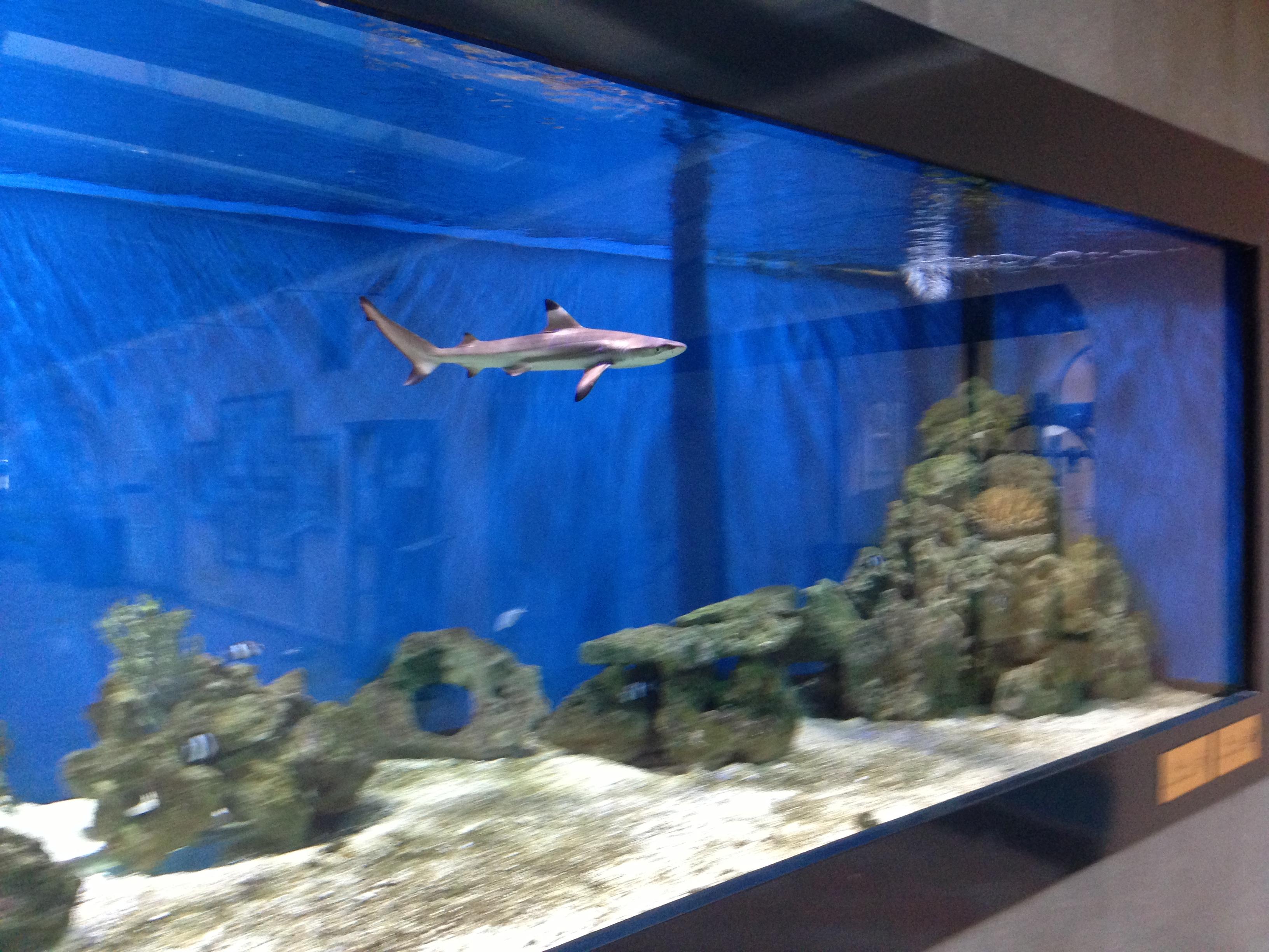 هتل Hotel Roma پراگ