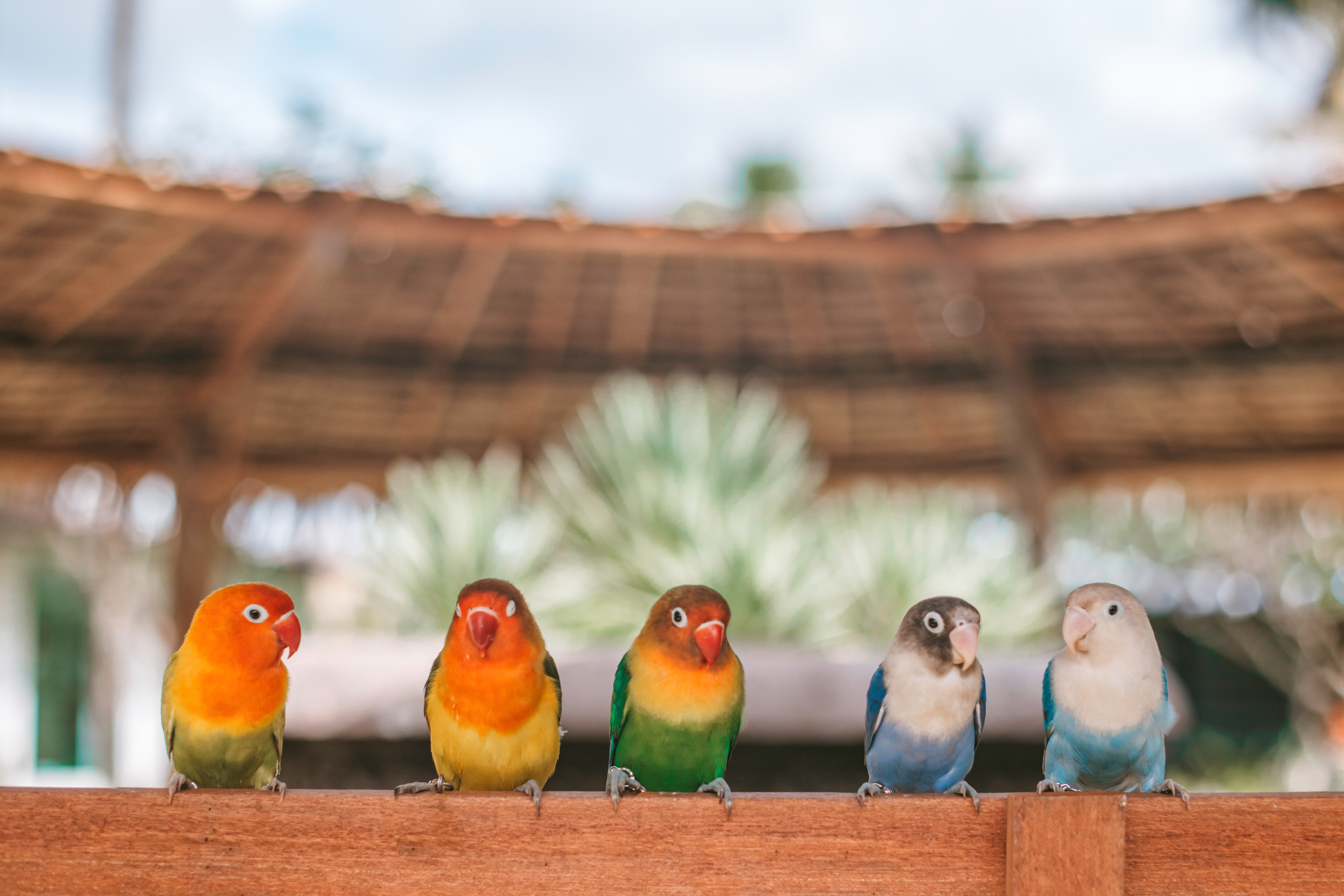 Alibaba https://cdn.alibaba.ir/ostorage/hotel/images/26CC7506/45E802F8A79A2C6EB3AAA729B6824161.jpg