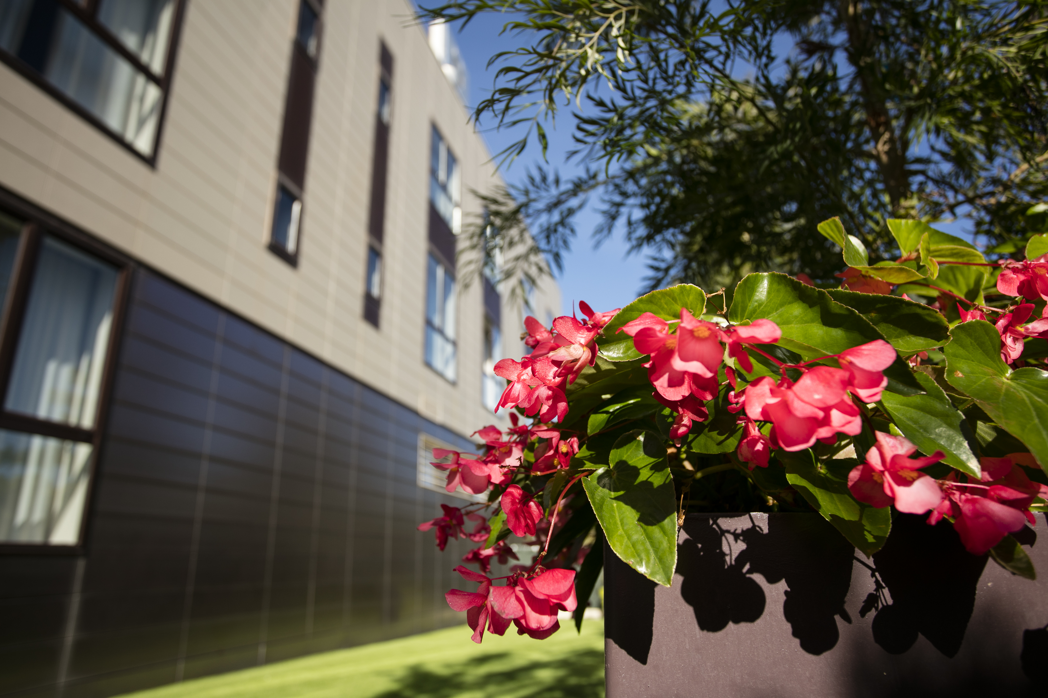 Alibaba https://cdn.alibaba.ir/ostorage/hotel/images/2972D3E2/EDBF5981393747C1C4BCAA76ABBADD46.jpg