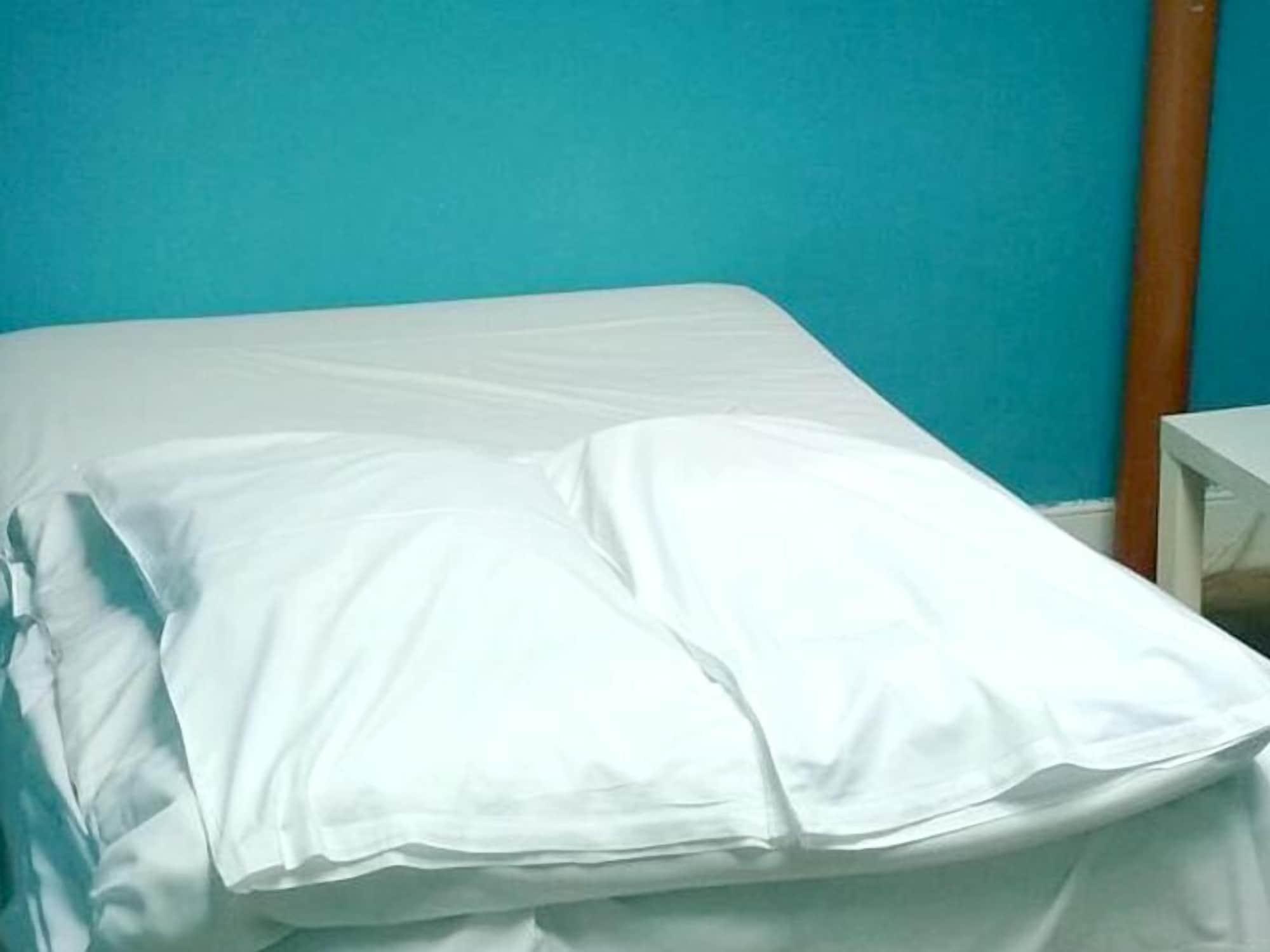 هتل Queen Elizabeth Hostel لندن