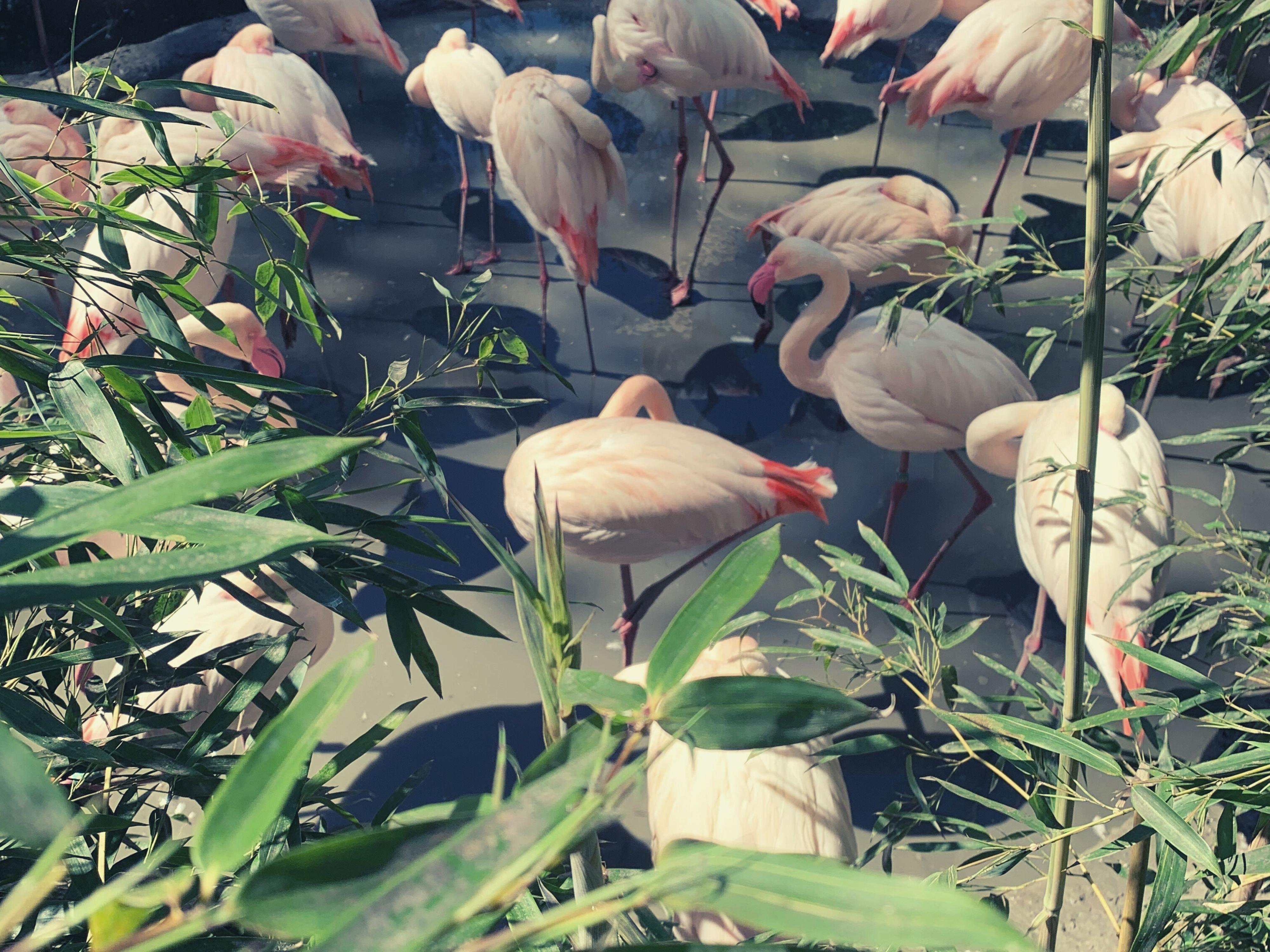 Alibaba https://cdn.alibaba.ir/ostorage/hotel/images/2F5D6C90/D211028FBBAF5E402F00ECD96108C4B8.jpg