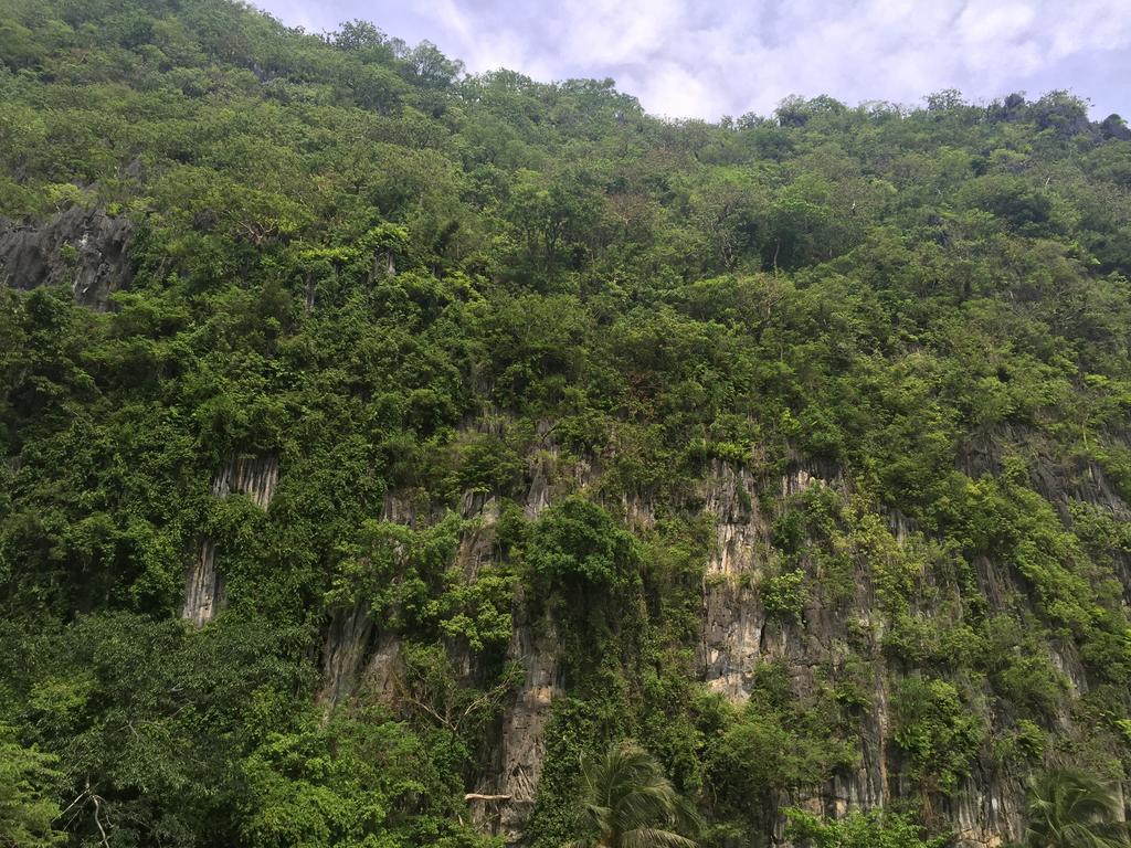 هتل El Nido Viewdeck Cottages El Nido