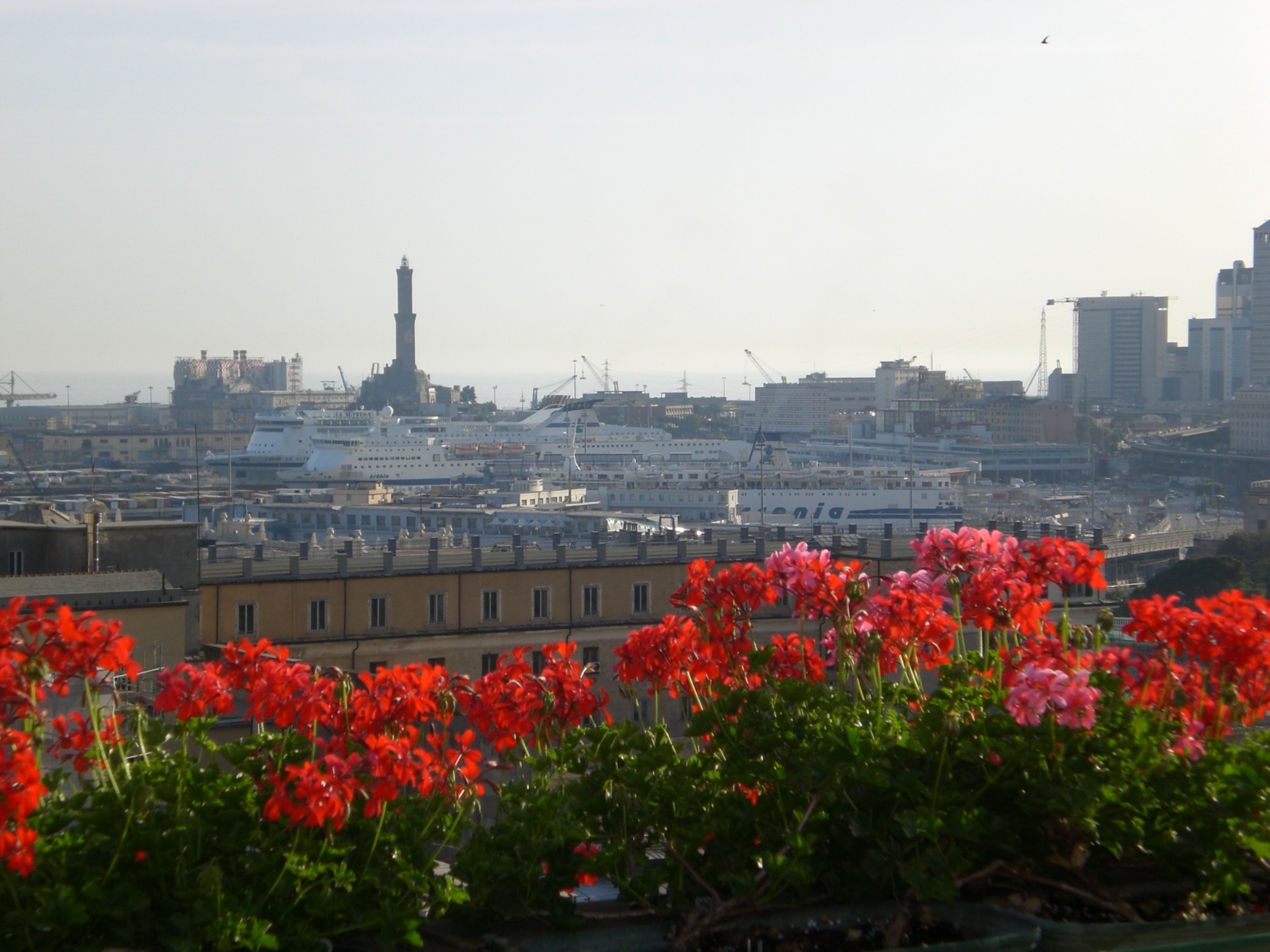 Alibaba https://cdn.alibaba.ir/ostorage/hotel/images/3A11B355/F63247407B5F239D71C4C1FD00EE01C4.jpg