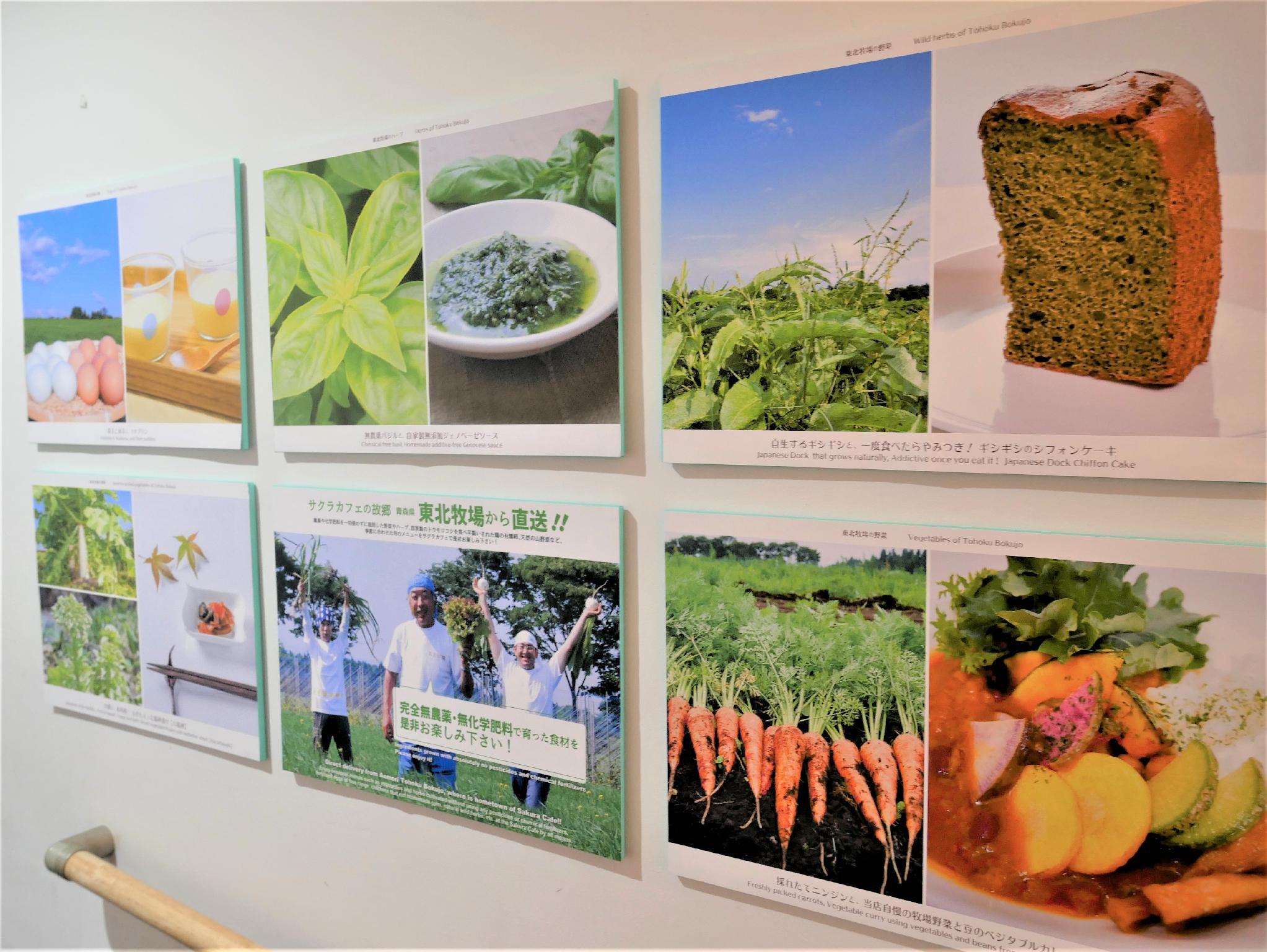 هتل Sakura Hotel Nippori توکیو