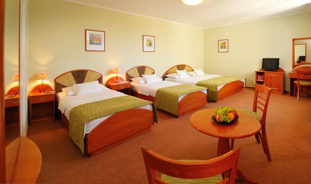 Alibaba https://cdn.alibaba.ir/ostorage/hotel/images/489B8F42/433265BEE87415B7D0D217ED4BEA6AE3.jpg