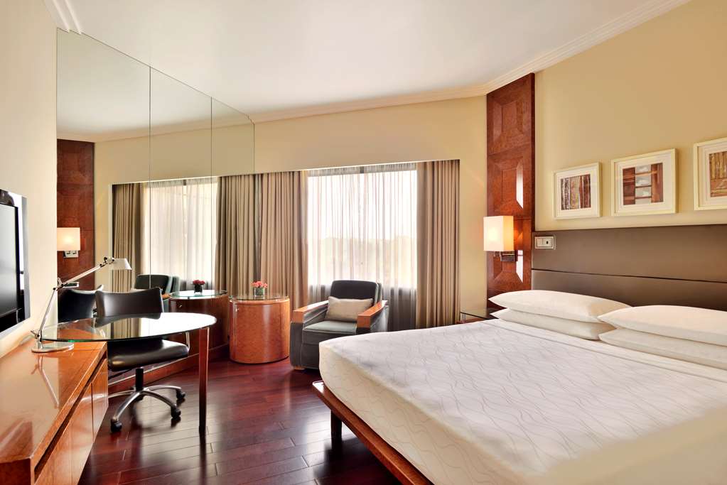 هتل Hyatt Regency Delhi دهلی