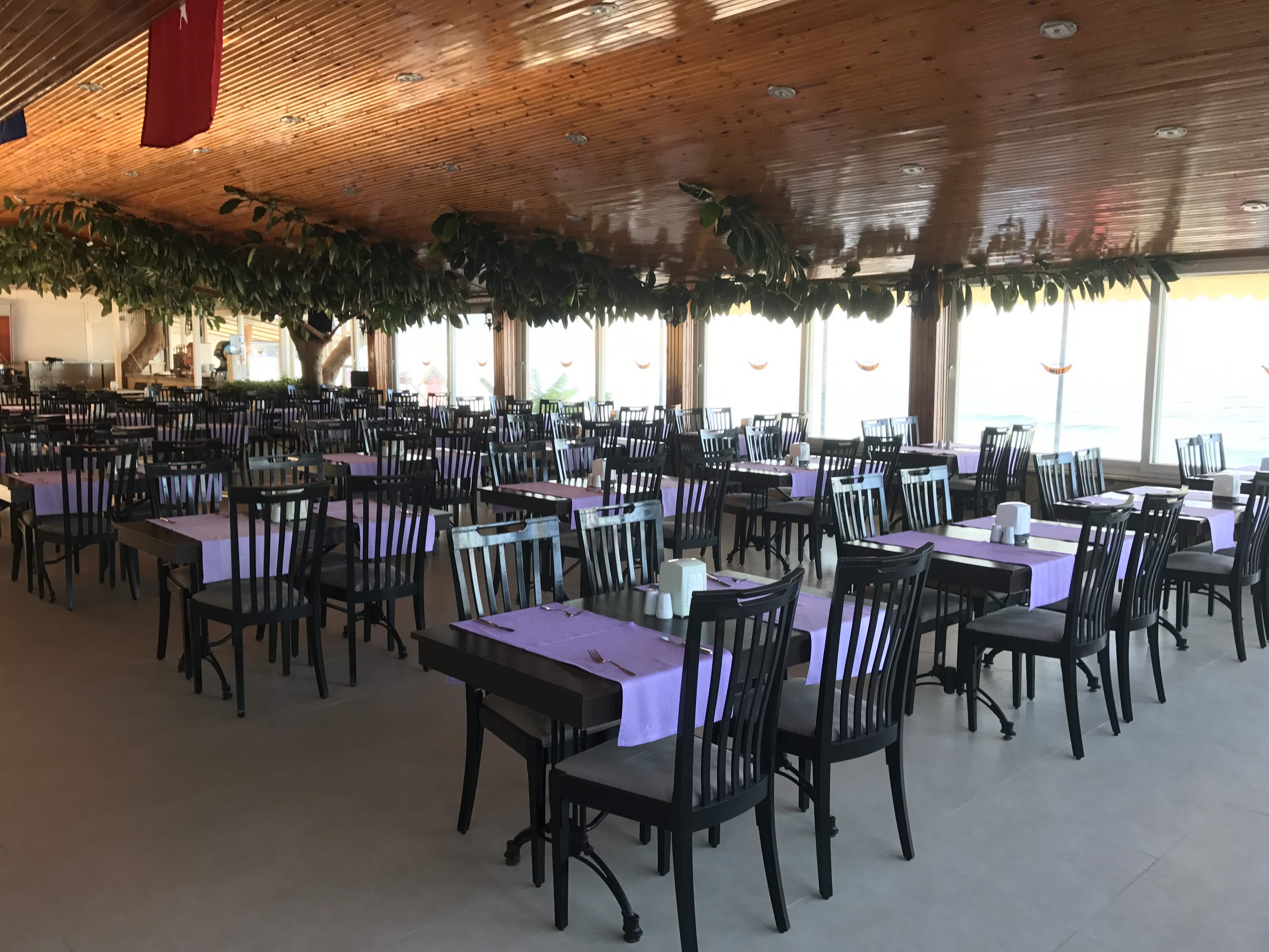 هتل Muz Hotel آلانیا