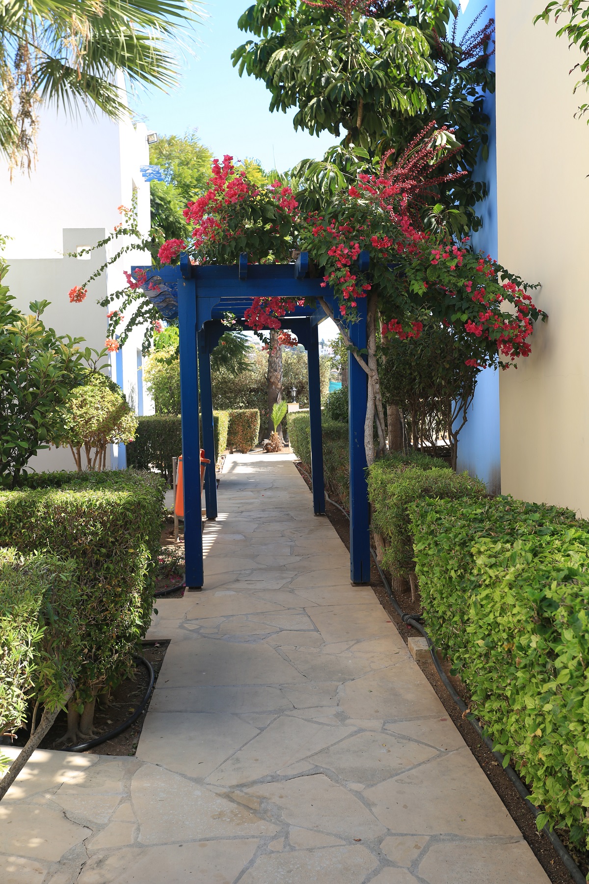 Alibaba https://cdn.alibaba.ir/ostorage/hotel/images/557010A/519B76AD99EB535572E14260D035C09B.jpg