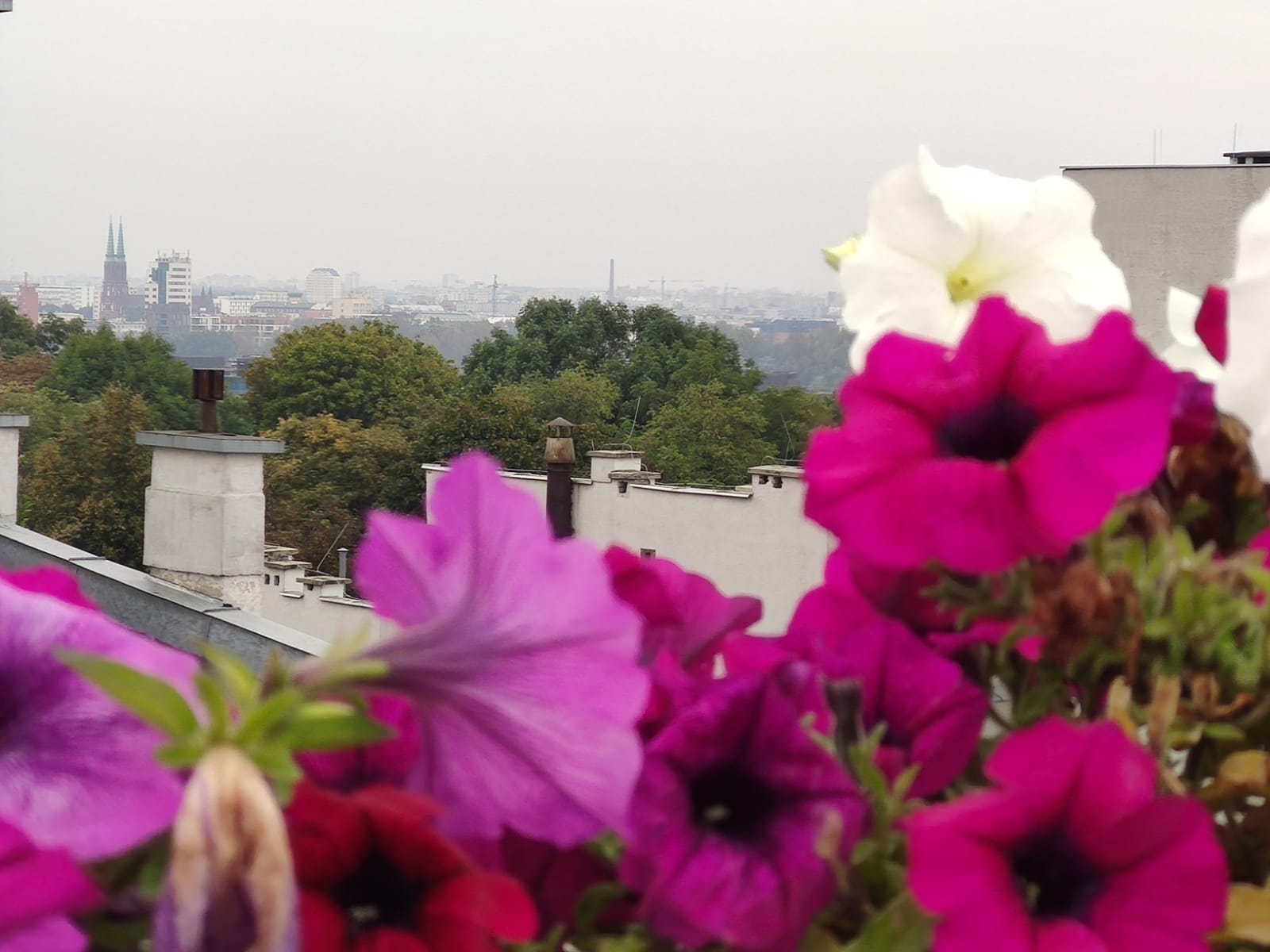 هتل Chopin Boutique B&B ورشو