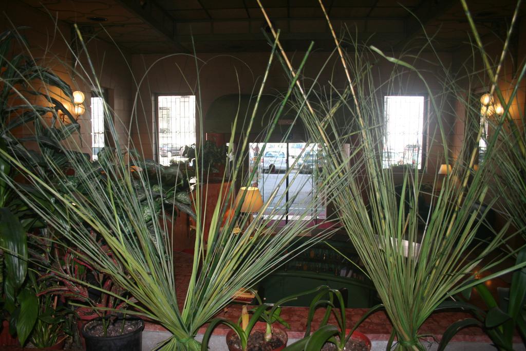 هتل Albert میلان