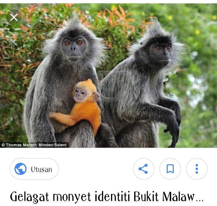 Alibaba https://cdn.alibaba.ir/ostorage/hotel/images/616FDD19/5142B3B6EA52D27B9FF1F020A6633BD0.jpg