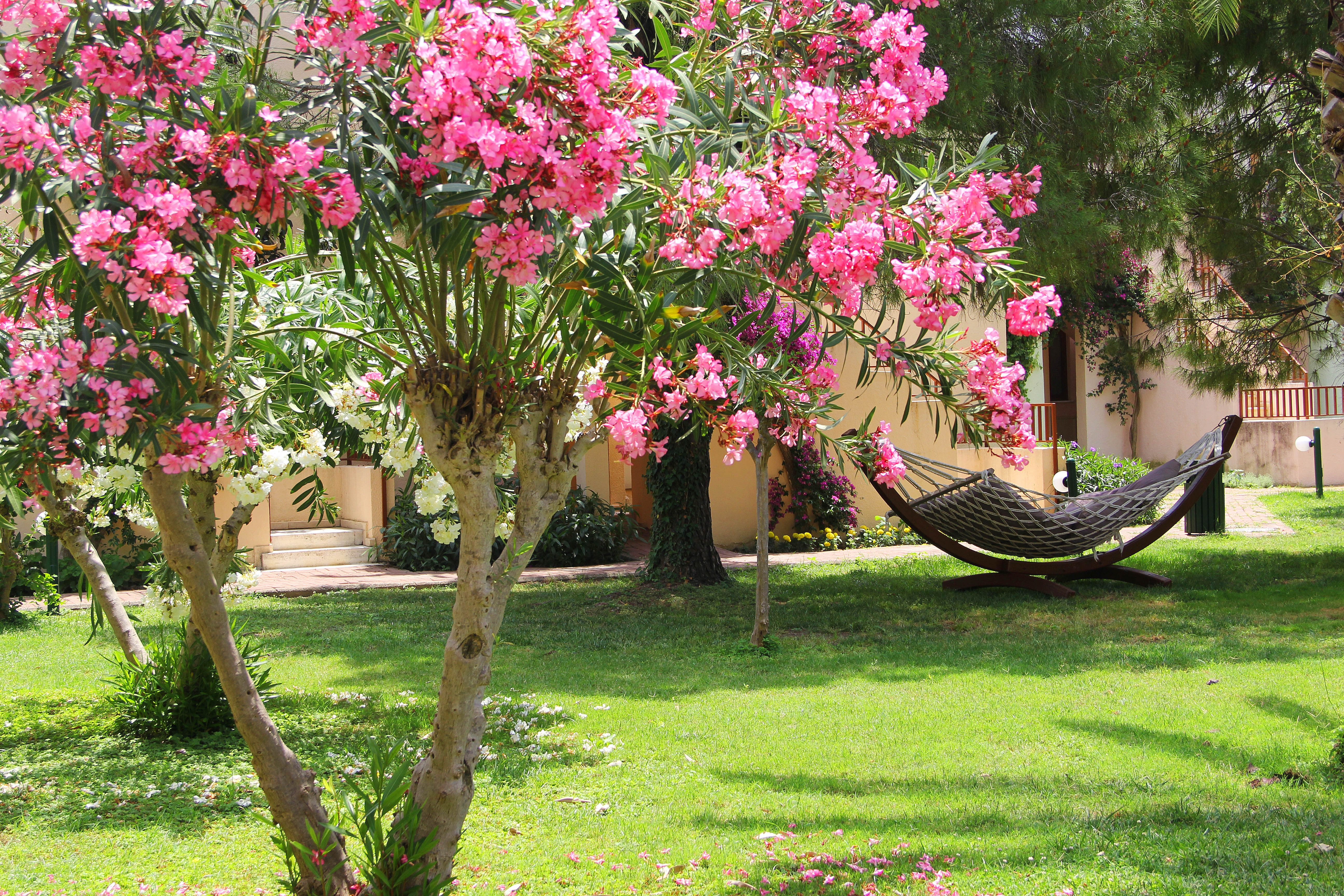 هتل Vonresort Golden Beach Colakli