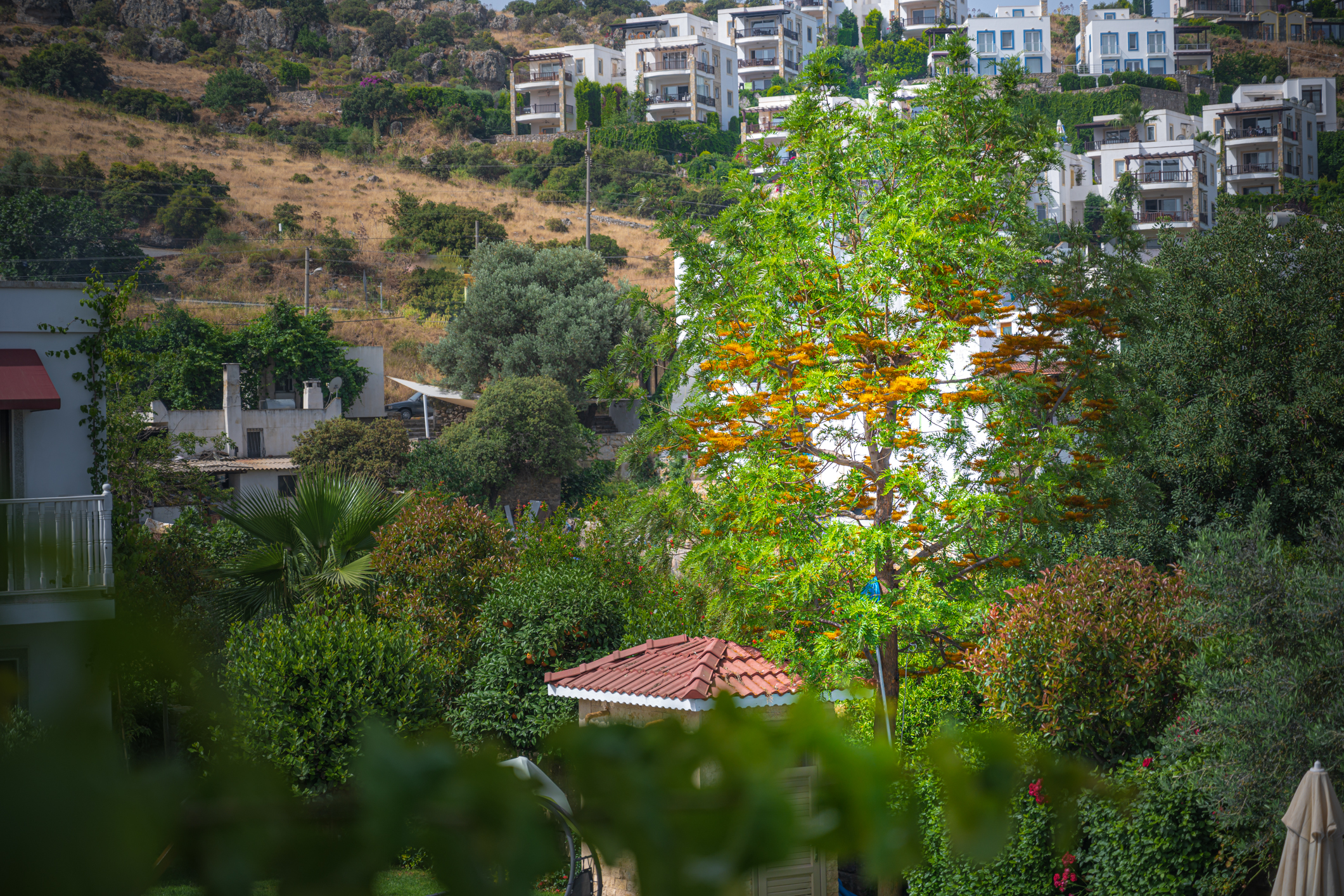 Alibaba https://cdn.alibaba.ir/ostorage/hotel/images/66B5B1FC/C0BB7018FE4B4EEF07ED837E9BDC92F2.jpg