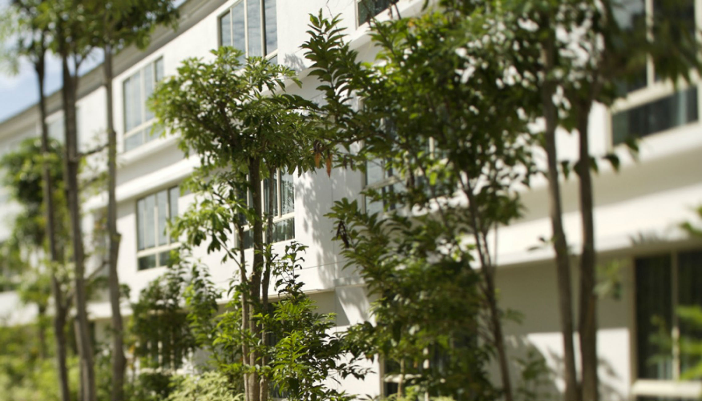 هتل Amara Sanctuary Resort Sentosa سنتوزا