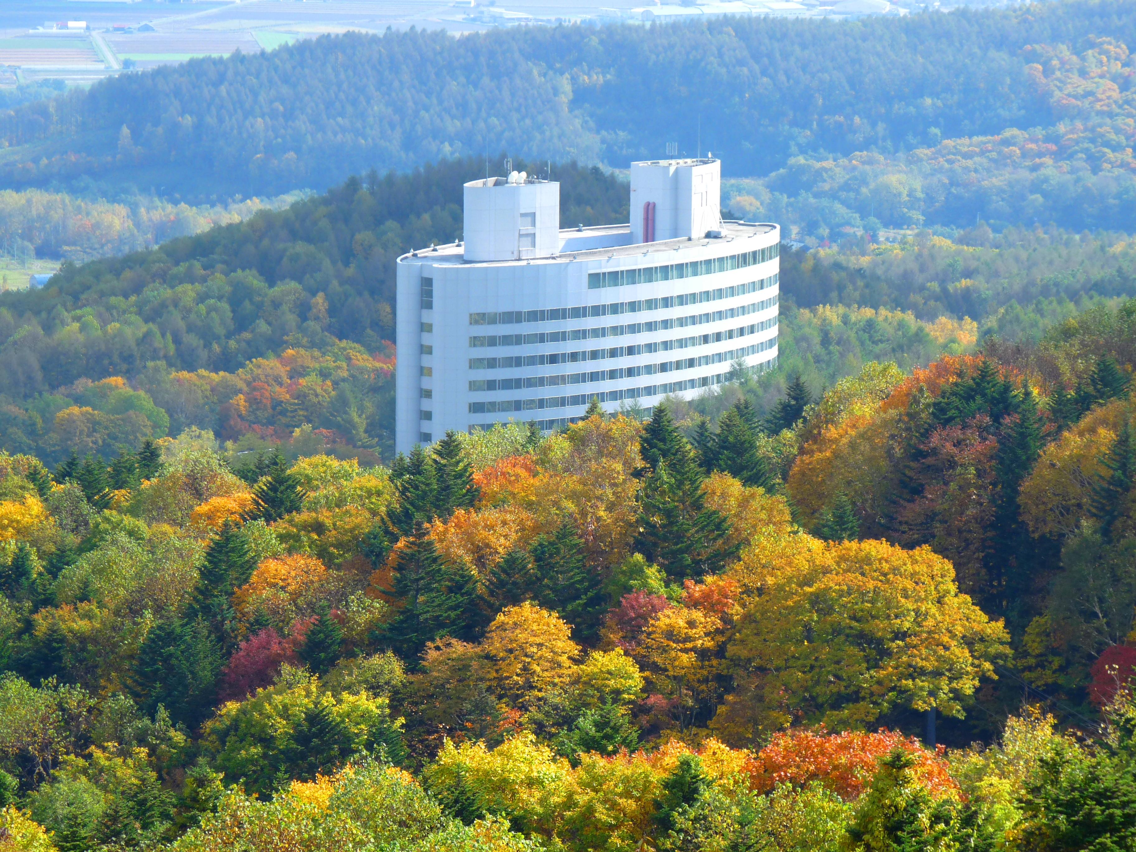 Hotel New Furano Prince Hotel