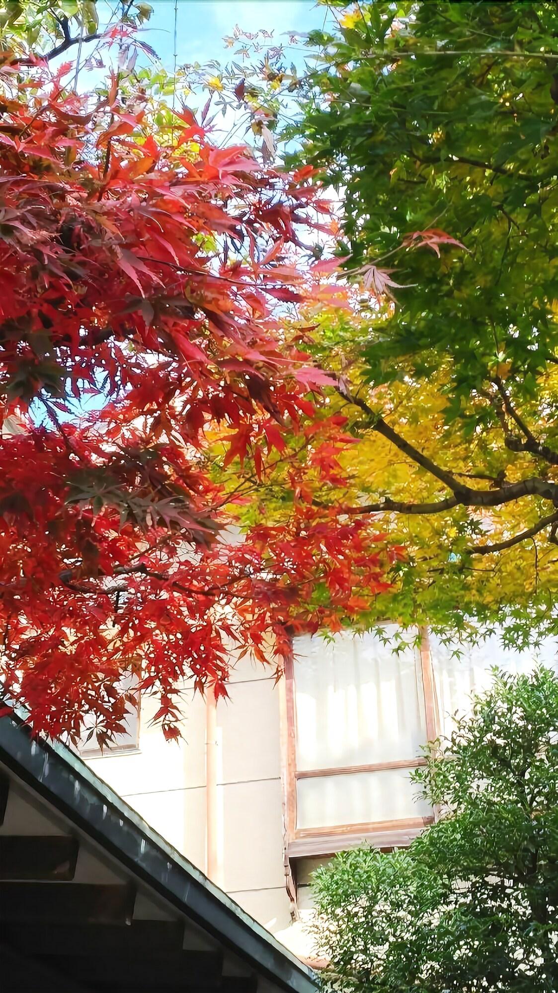 Alibaba https://cdn.alibaba.ir/ostorage/hotel/images/79A93852/3D72F8D017CA1AF7F6D8003074F05CB2.jpg