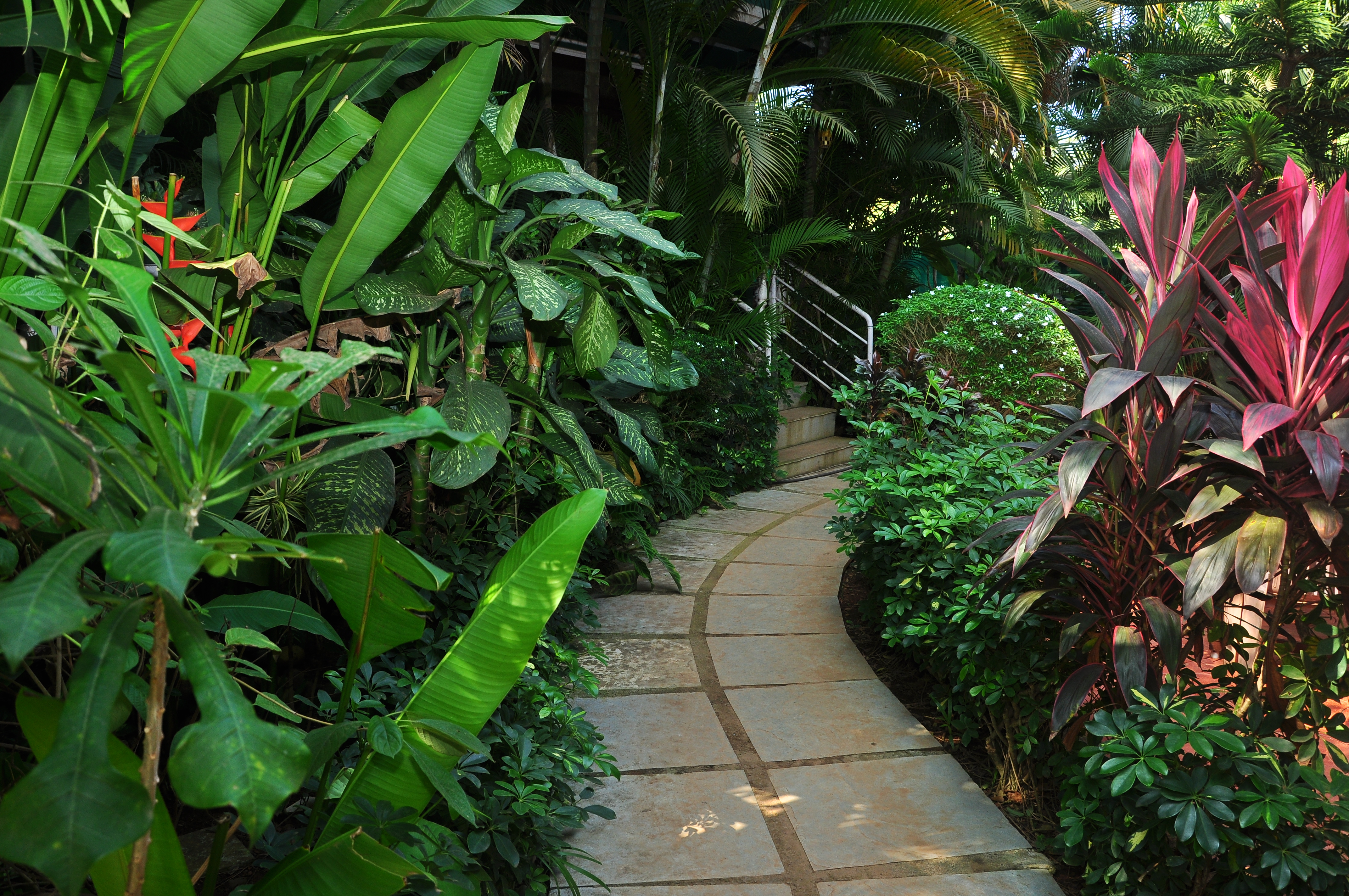 Alibaba https://cdn.alibaba.ir/ostorage/hotel/images/7FDB253E/0CB21DB023FF15F093E89A745C3DEF1E.JPG