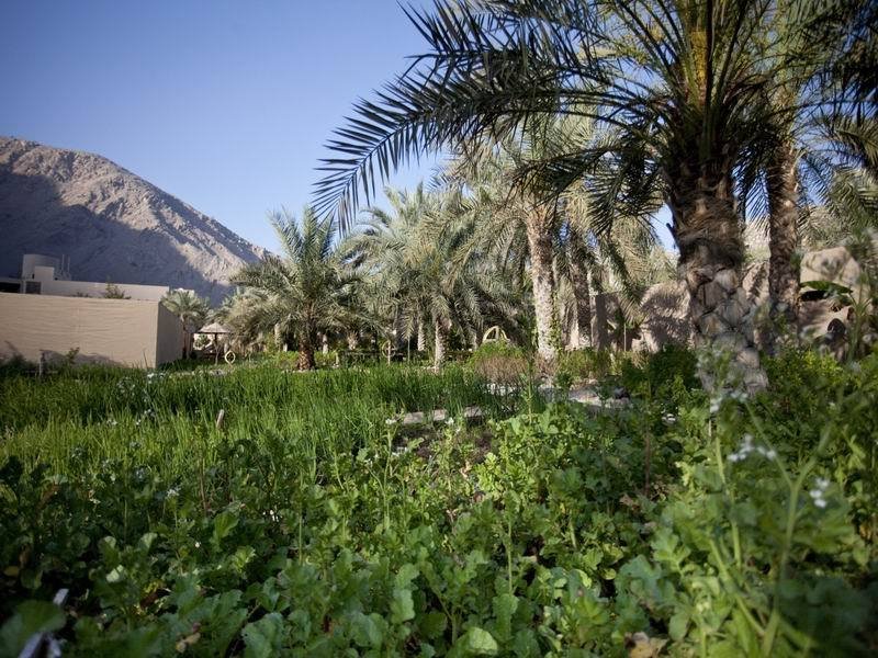 هتل Six Senses Zighy Bay Zighy Bay