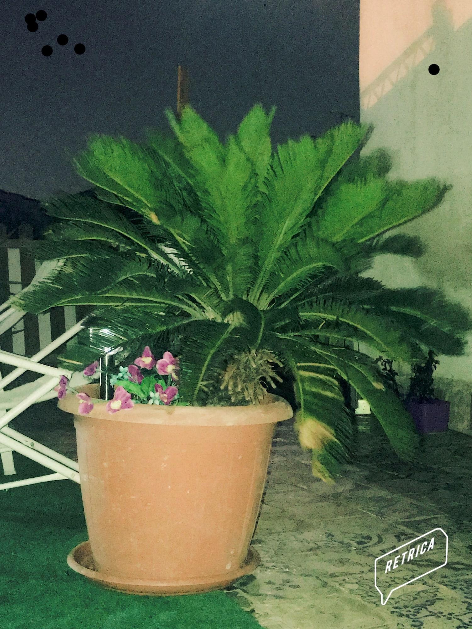 Alibaba https://cdn.alibaba.ir/ostorage/hotel/images/87D5E5A8/7428E93BFA19283C4D173565B6BD5D0F.jpg