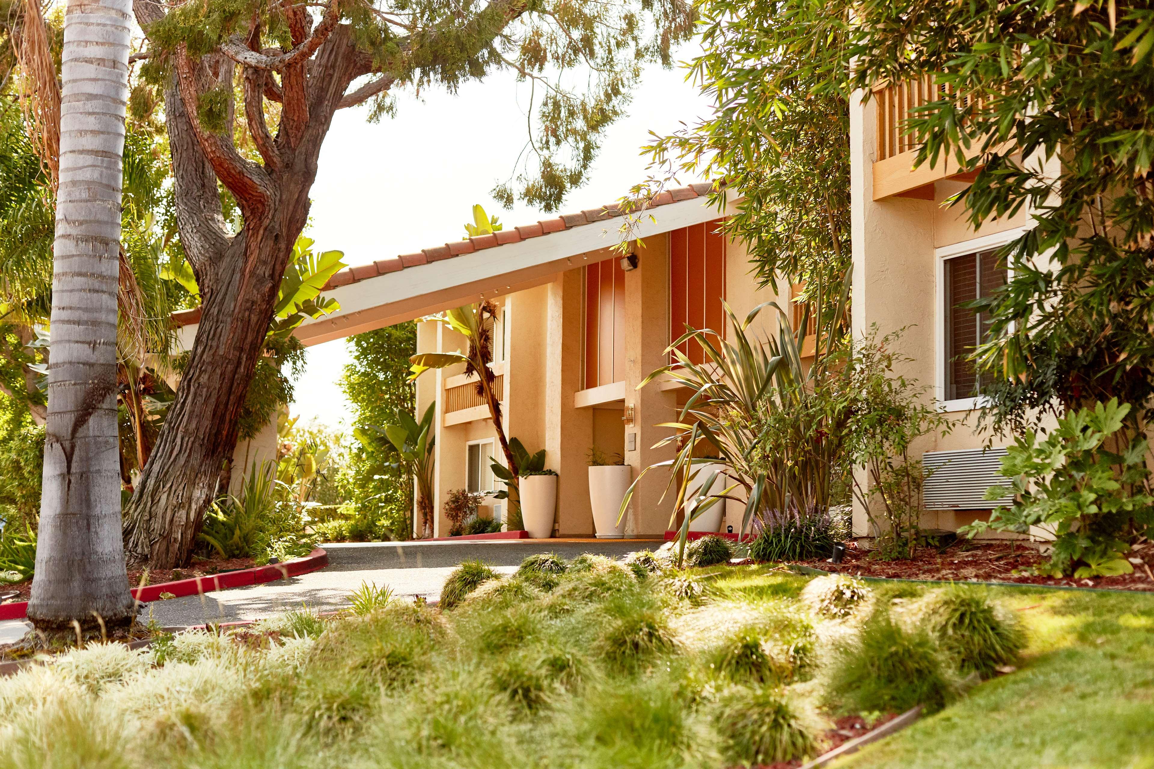 Hotel Wild Palms